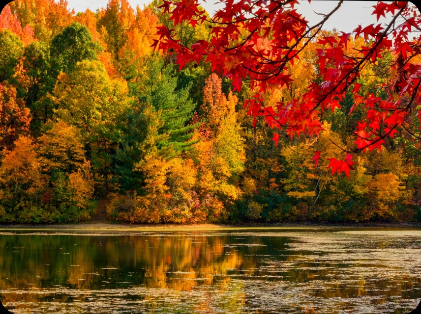 Autumn or Fall Color Palettes