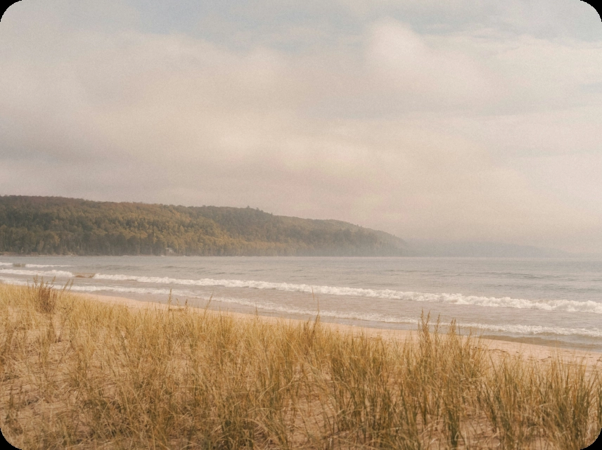 Seasonal Neutrals Color Palettes