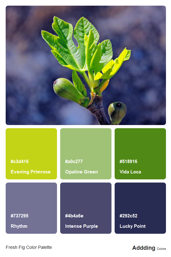 Fig Color Code Fig Colour Palette