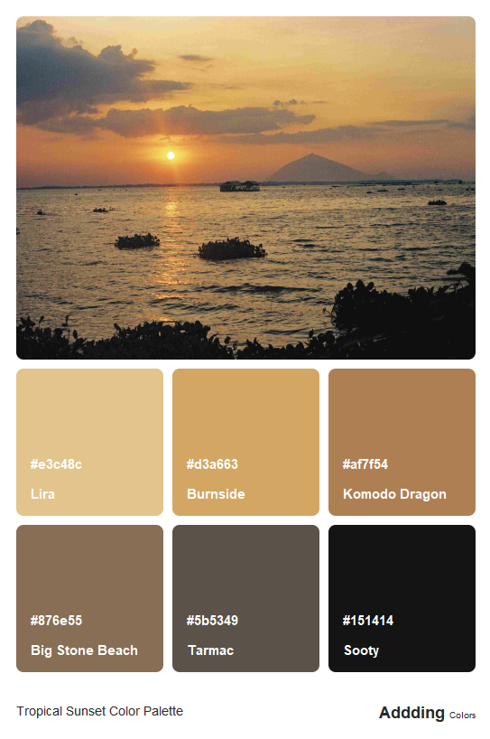 Tropical Beach Sunset Color Palette