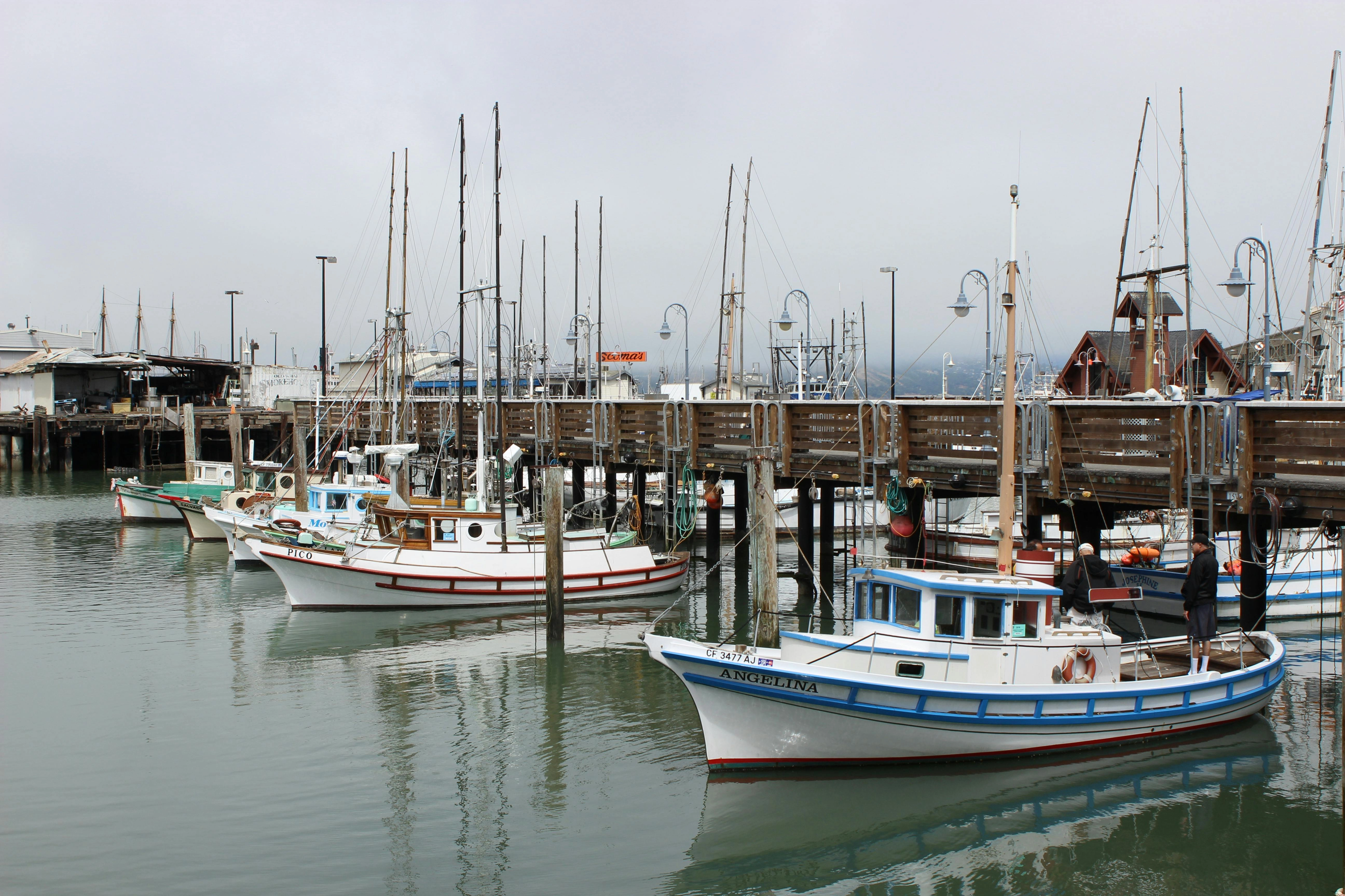 Fisherman's Wharf Boat Harbor