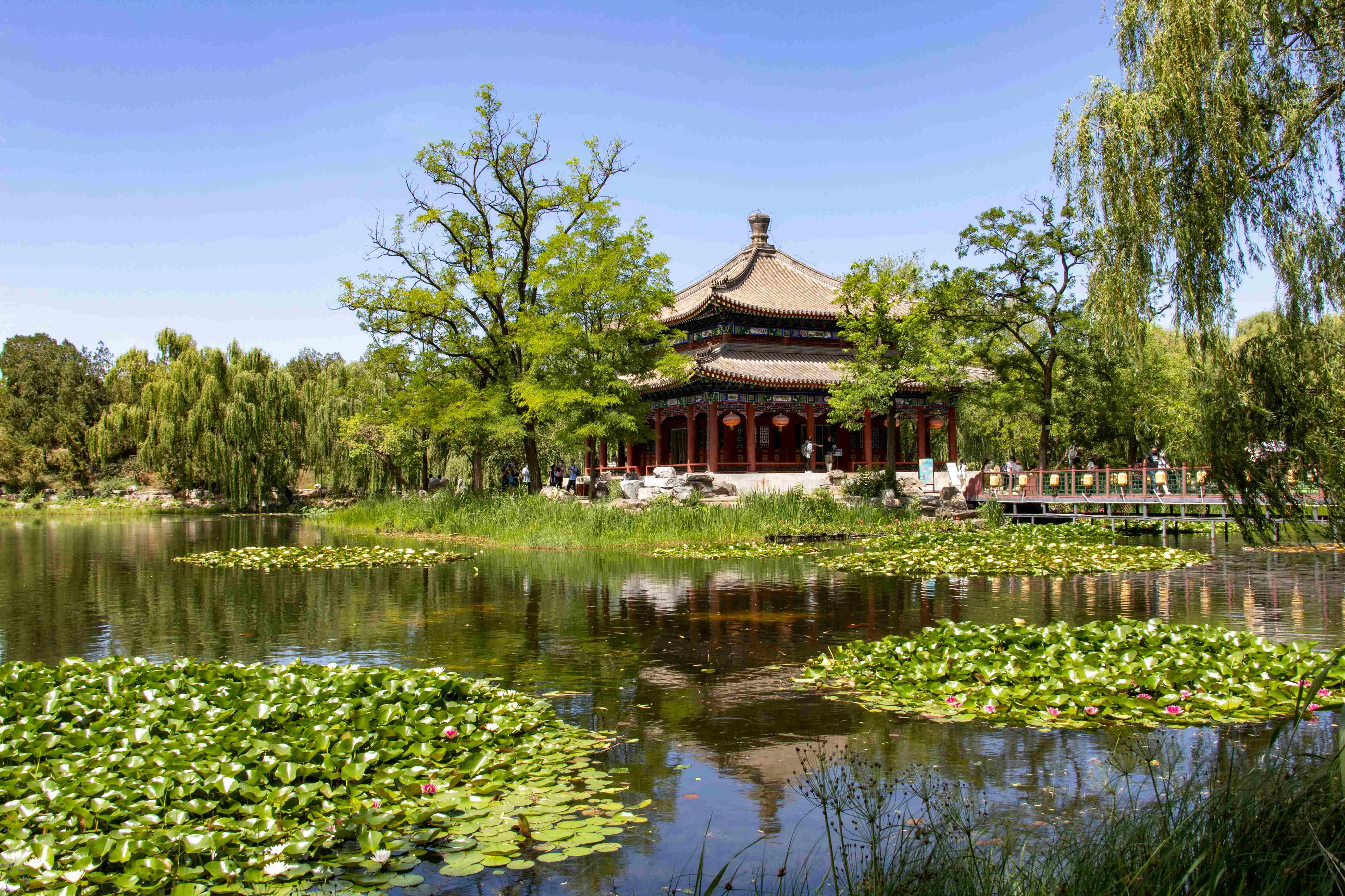 Tranquil Chinese Garden Pavilion Tranquil Chinese Garden Pavilion