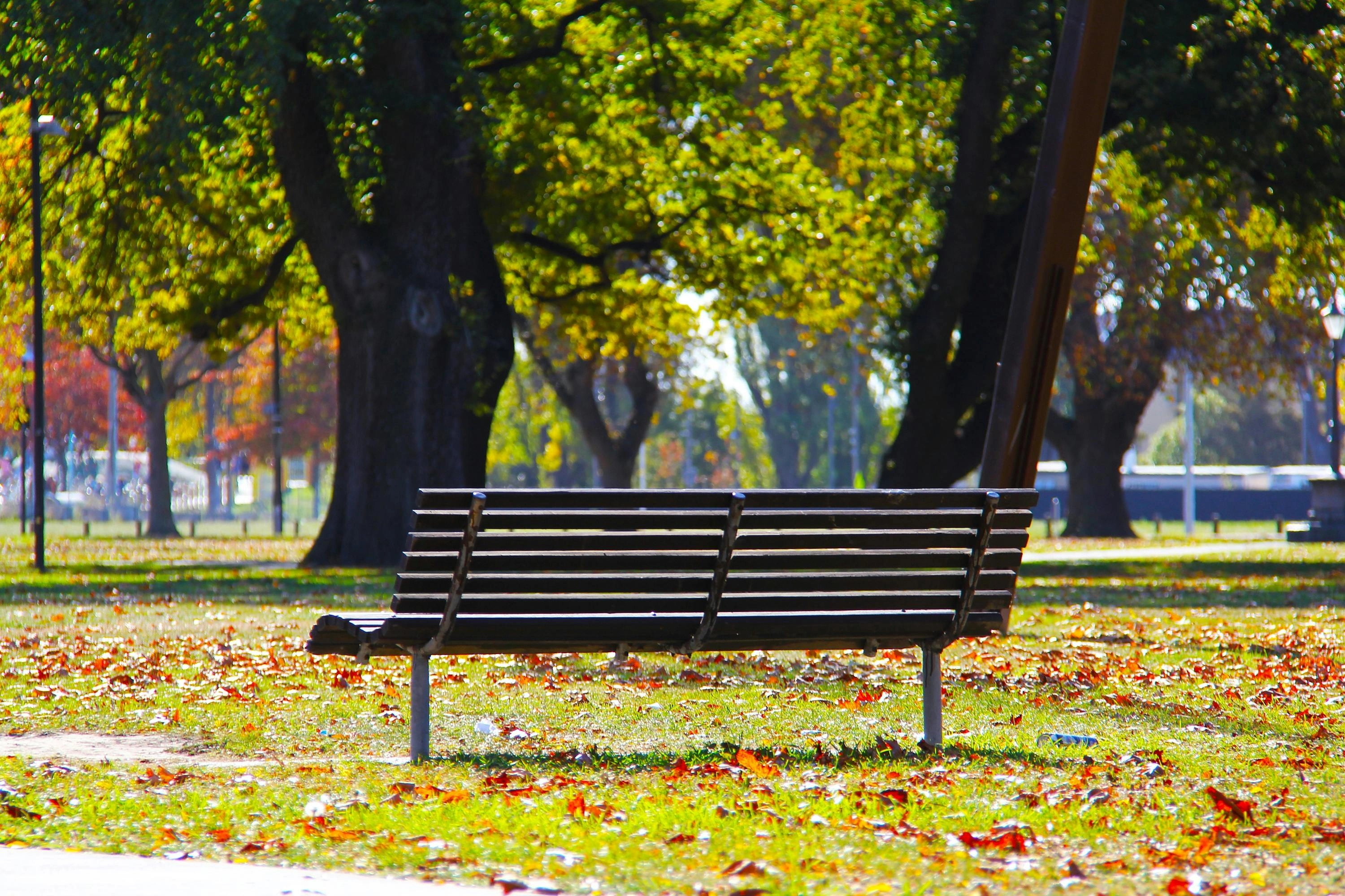 Autumn Park Bench Scene Autumn Park Bench Scene