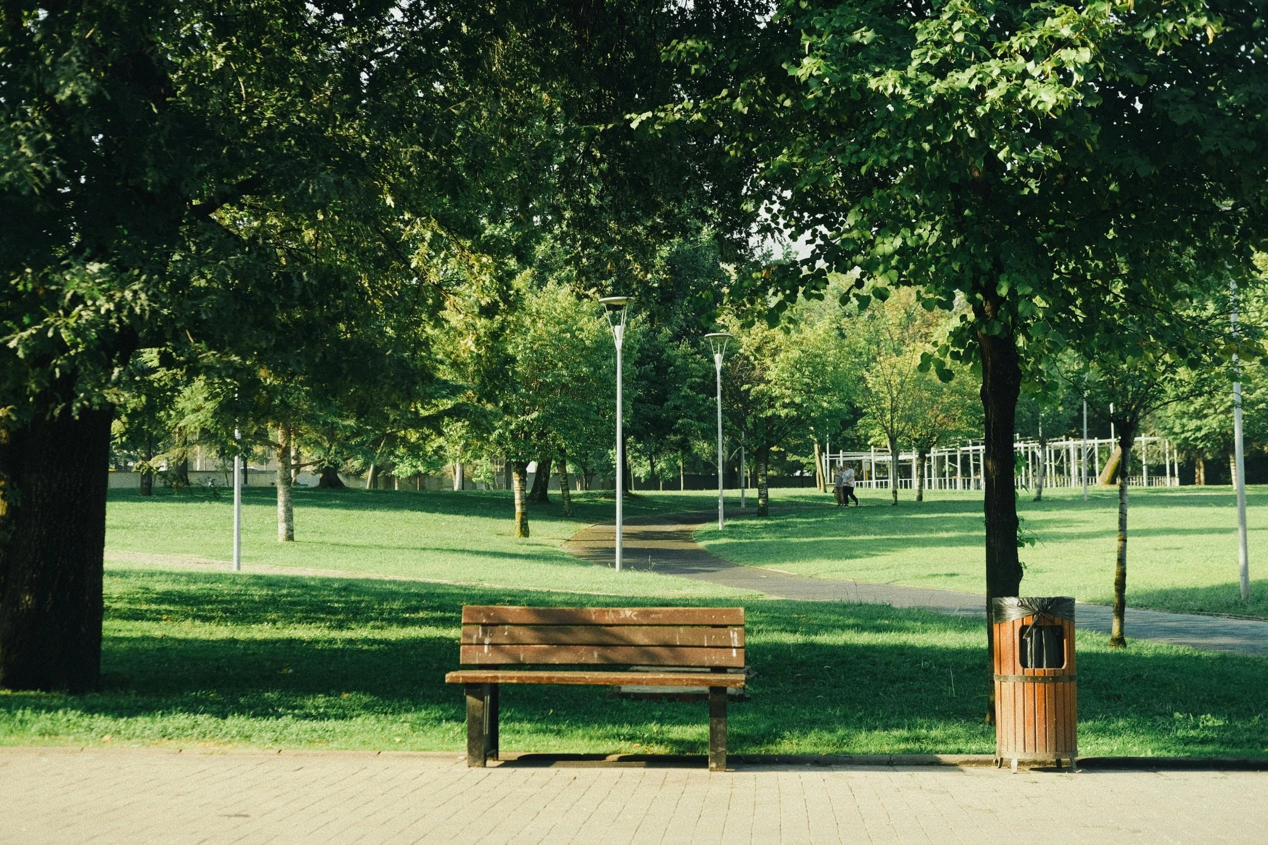Serene Urban Park Oasis