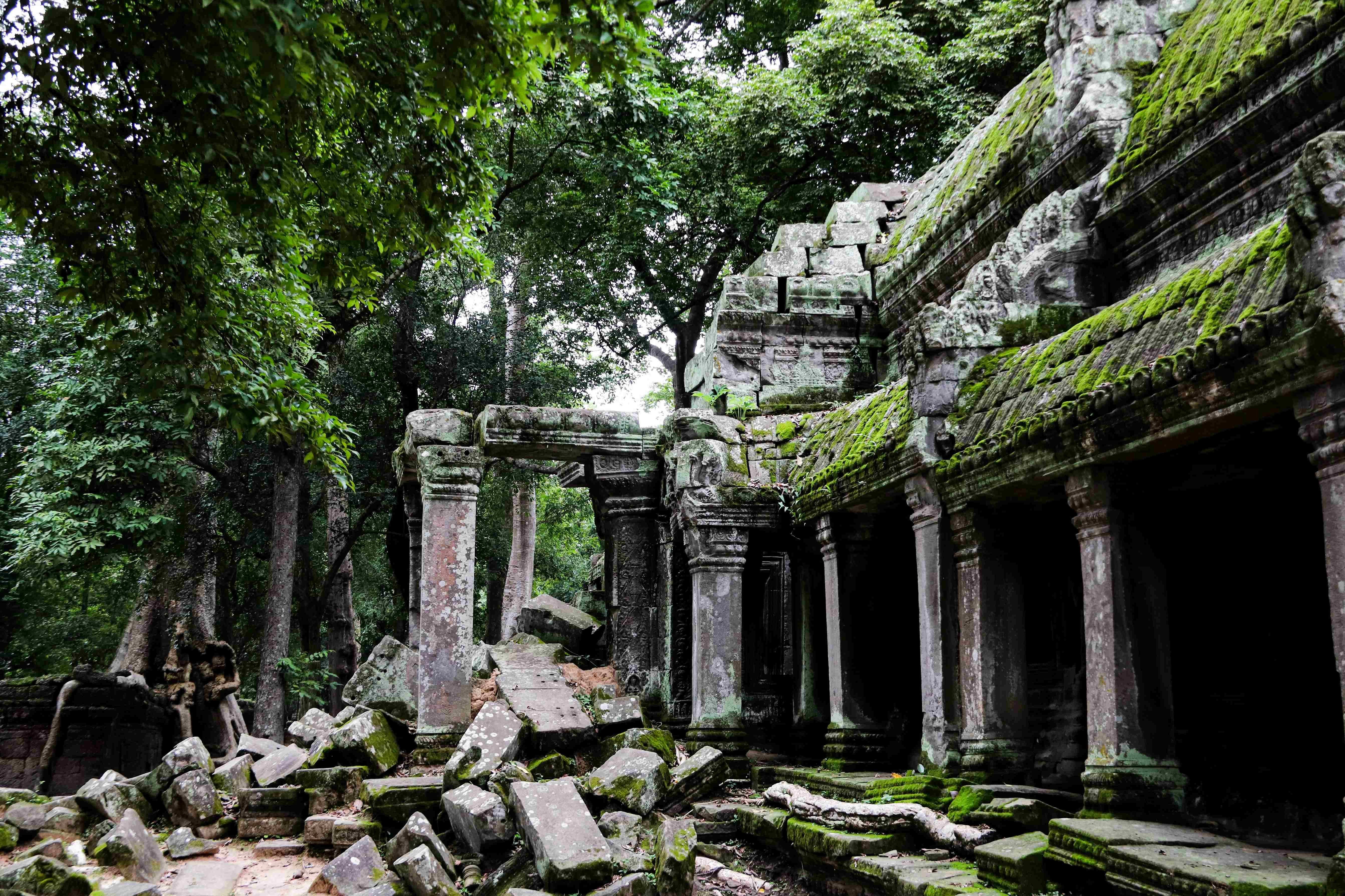 Ancient Temple Reclaimed by Nature