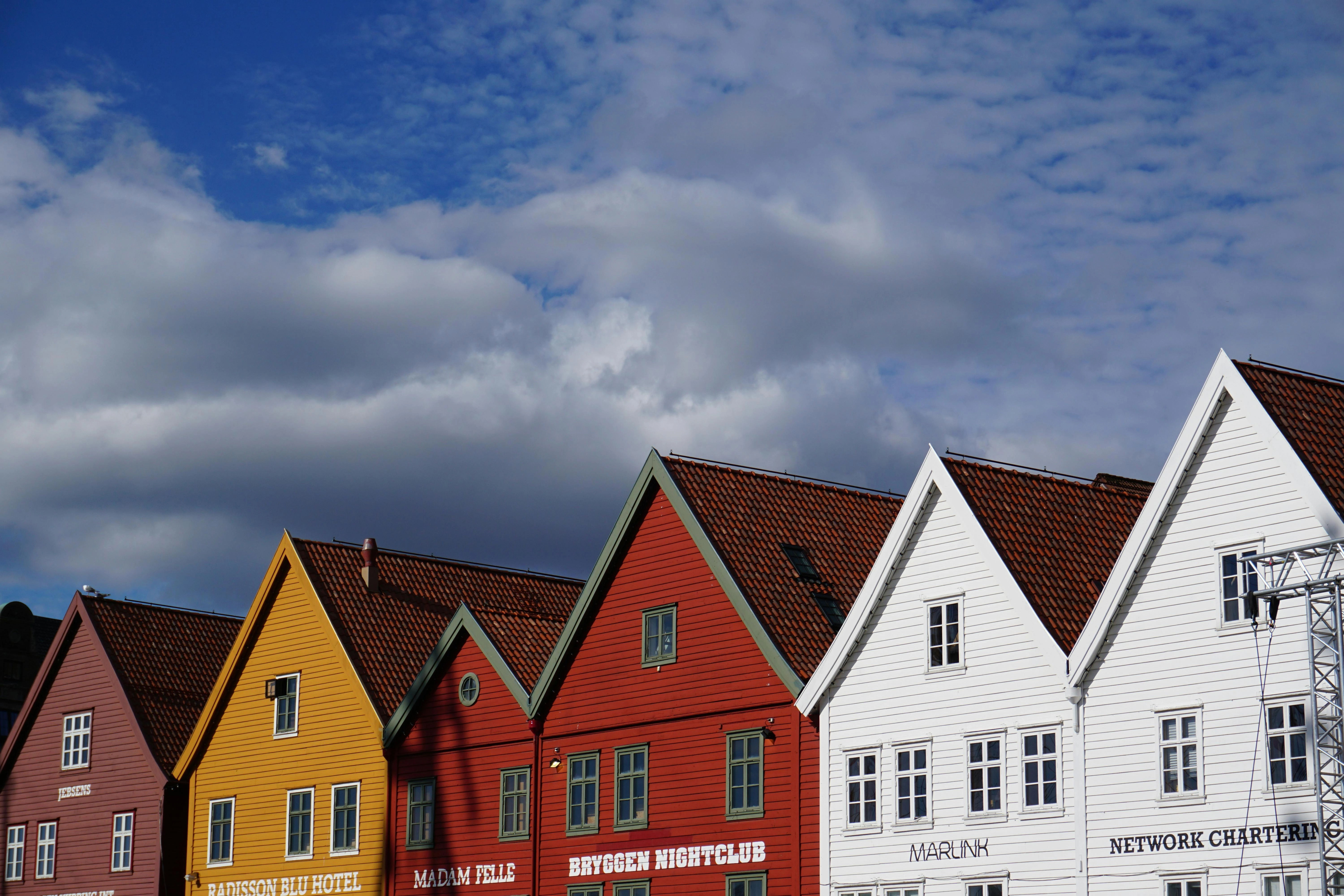 Colorful Bergen Color Palette, Combinations & Schemes | Octet Design Labs