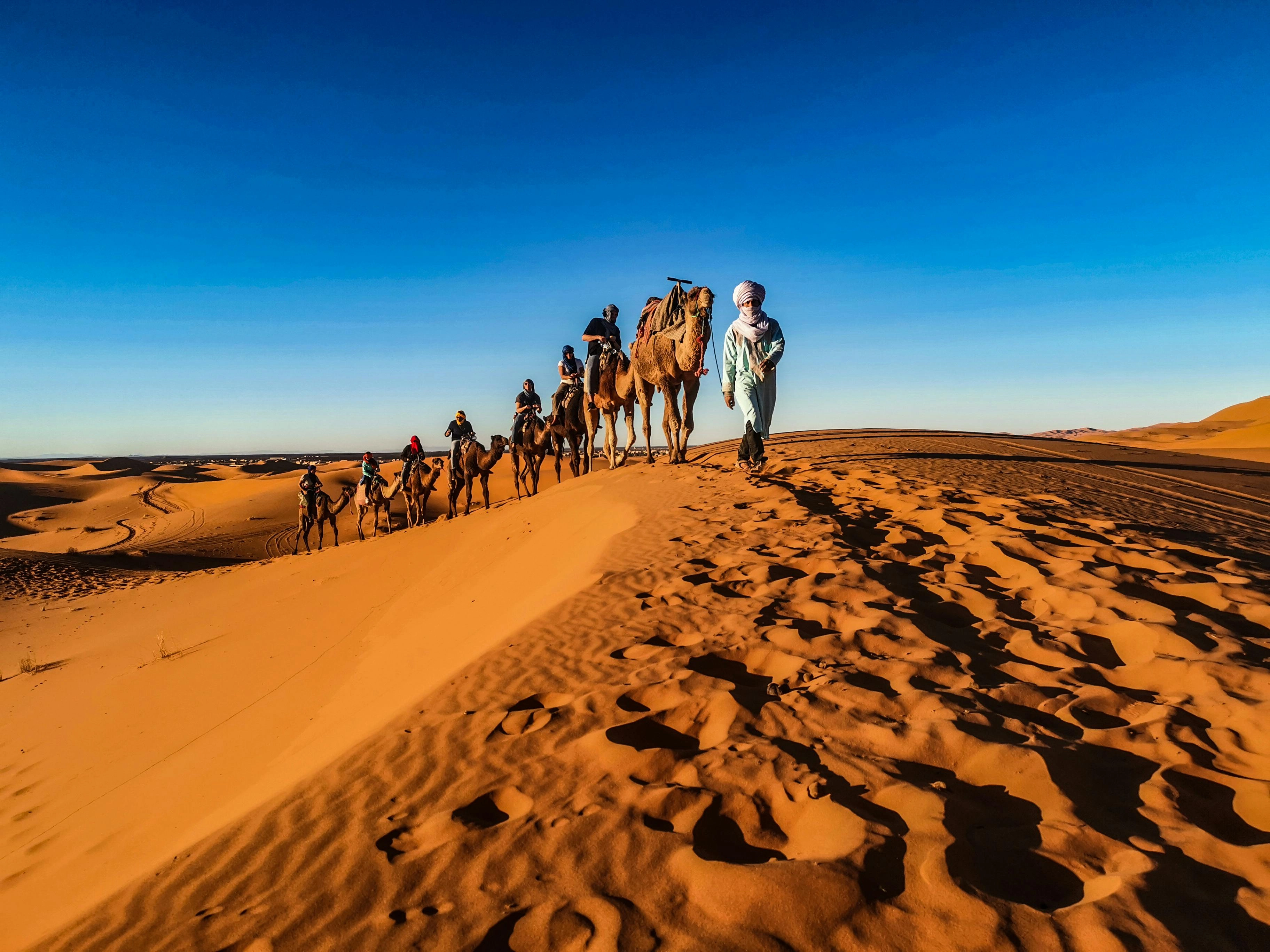 Desert Camel Caravan Journey