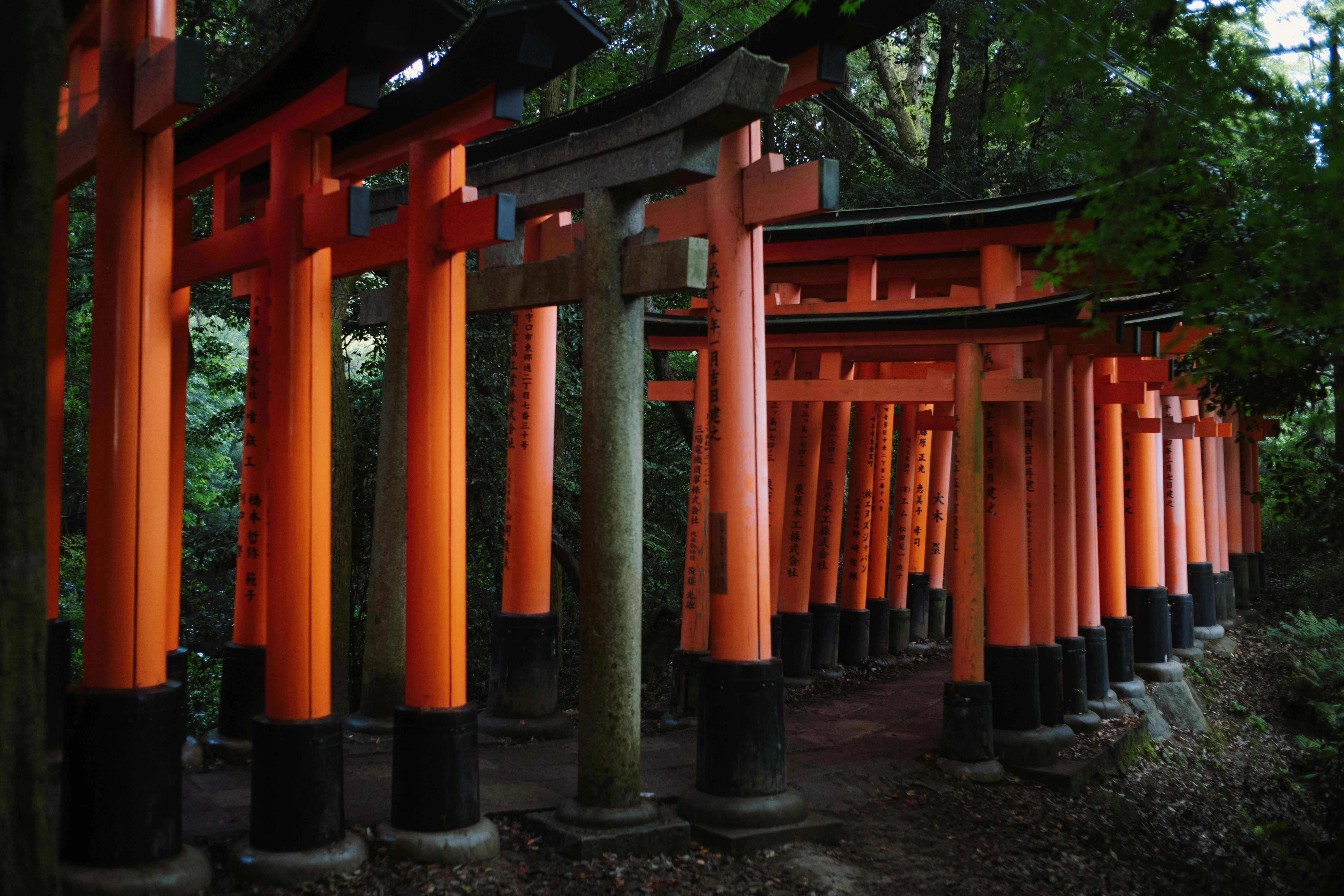 Fushimi Inari Torii Gates Fushimi Inari Torii Gates