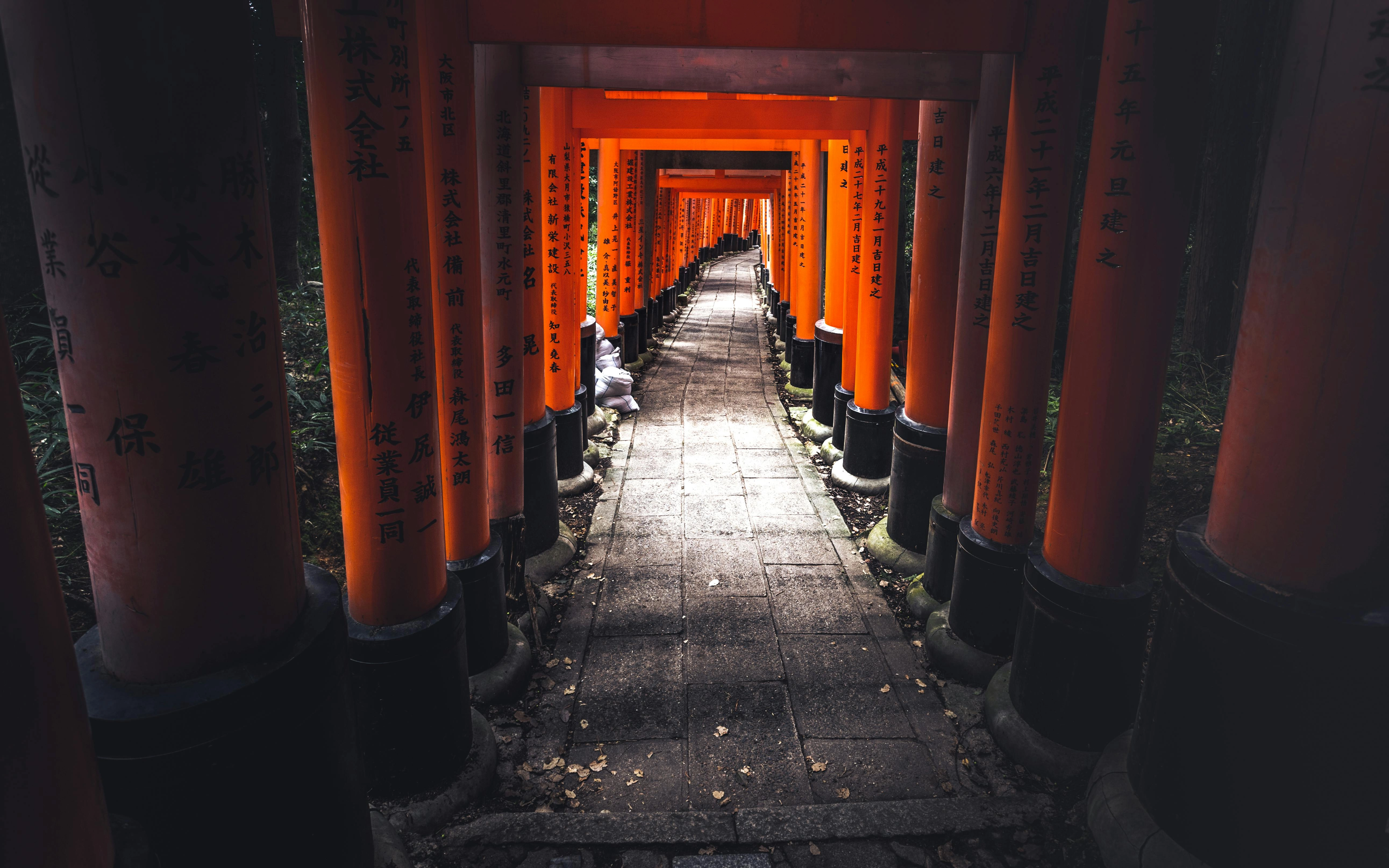 Illuminated Torii Gate Pathway Illuminated Torii Gate Pathway