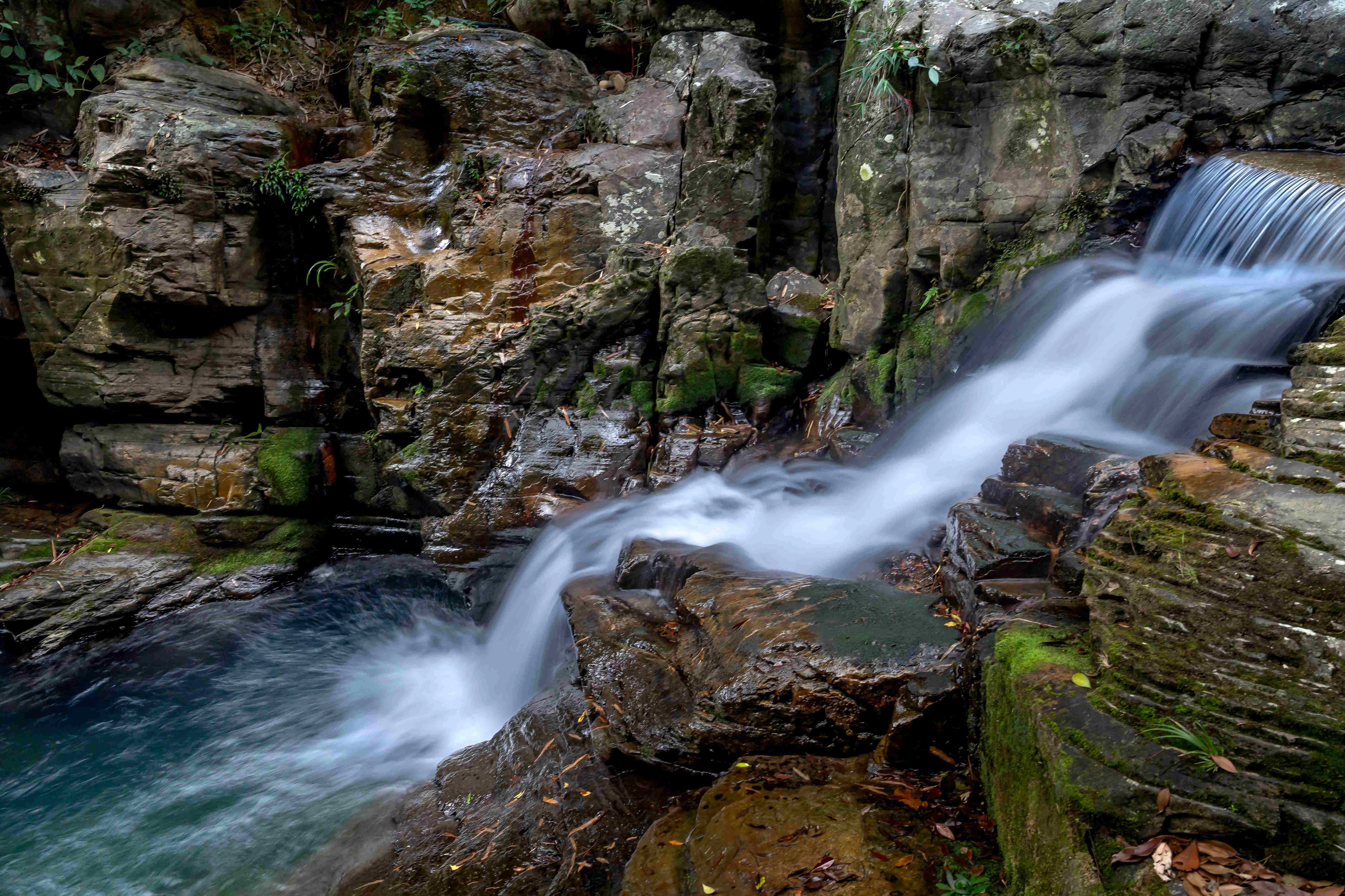 Serene Forest Waterfall Cascade Serene Forest Waterfall Cascade