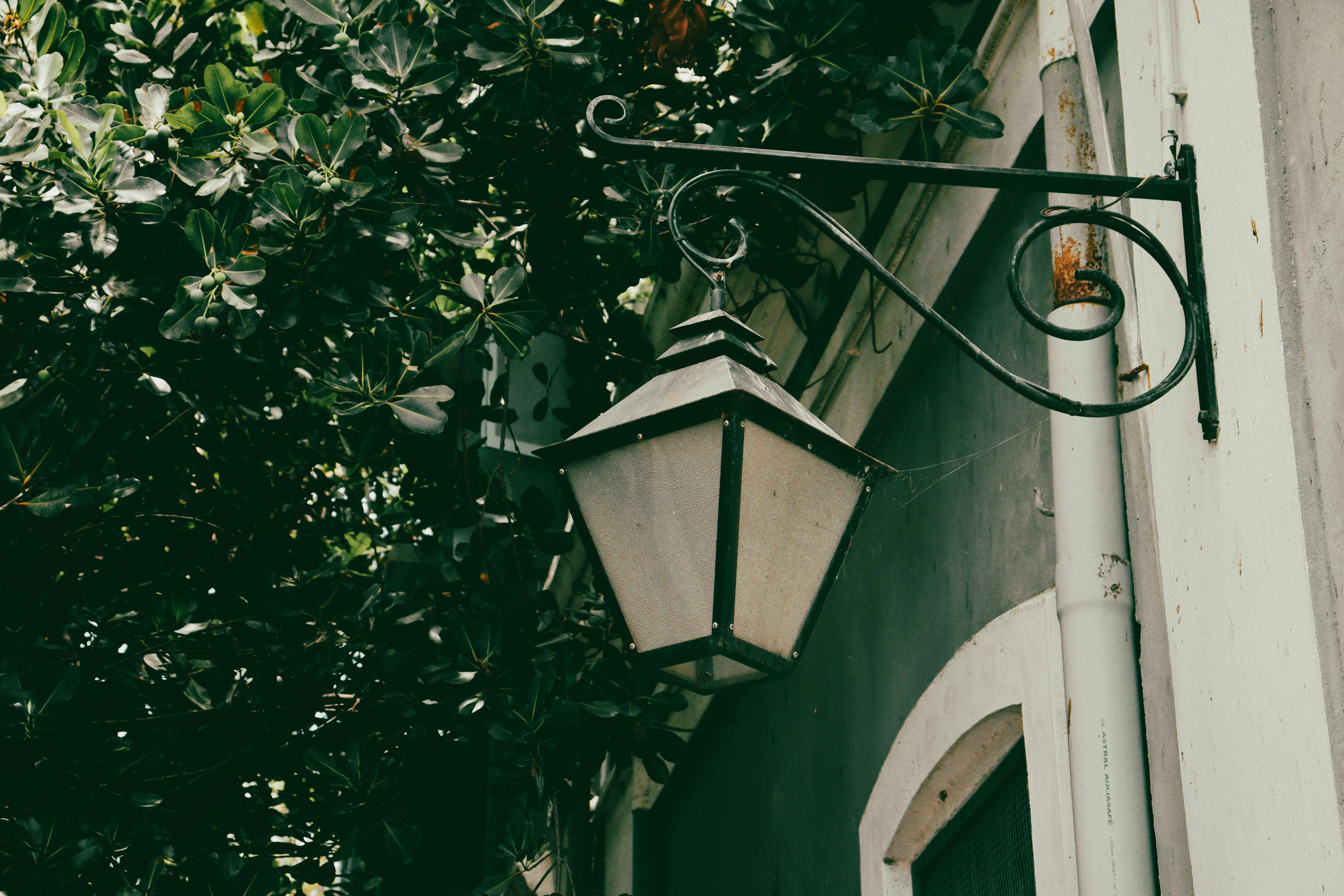 Vintage Lantern in Foliage Vintage Lantern in Foliage