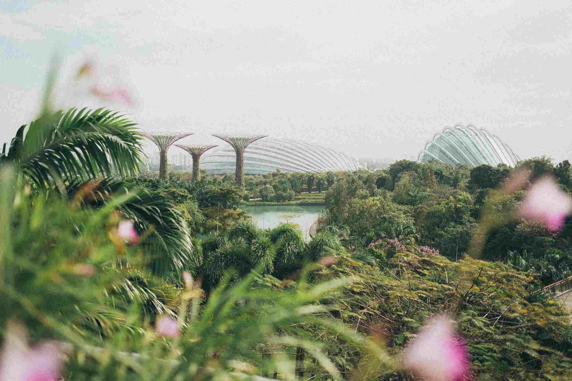 Gardens by the Bay Gardens by the Bay