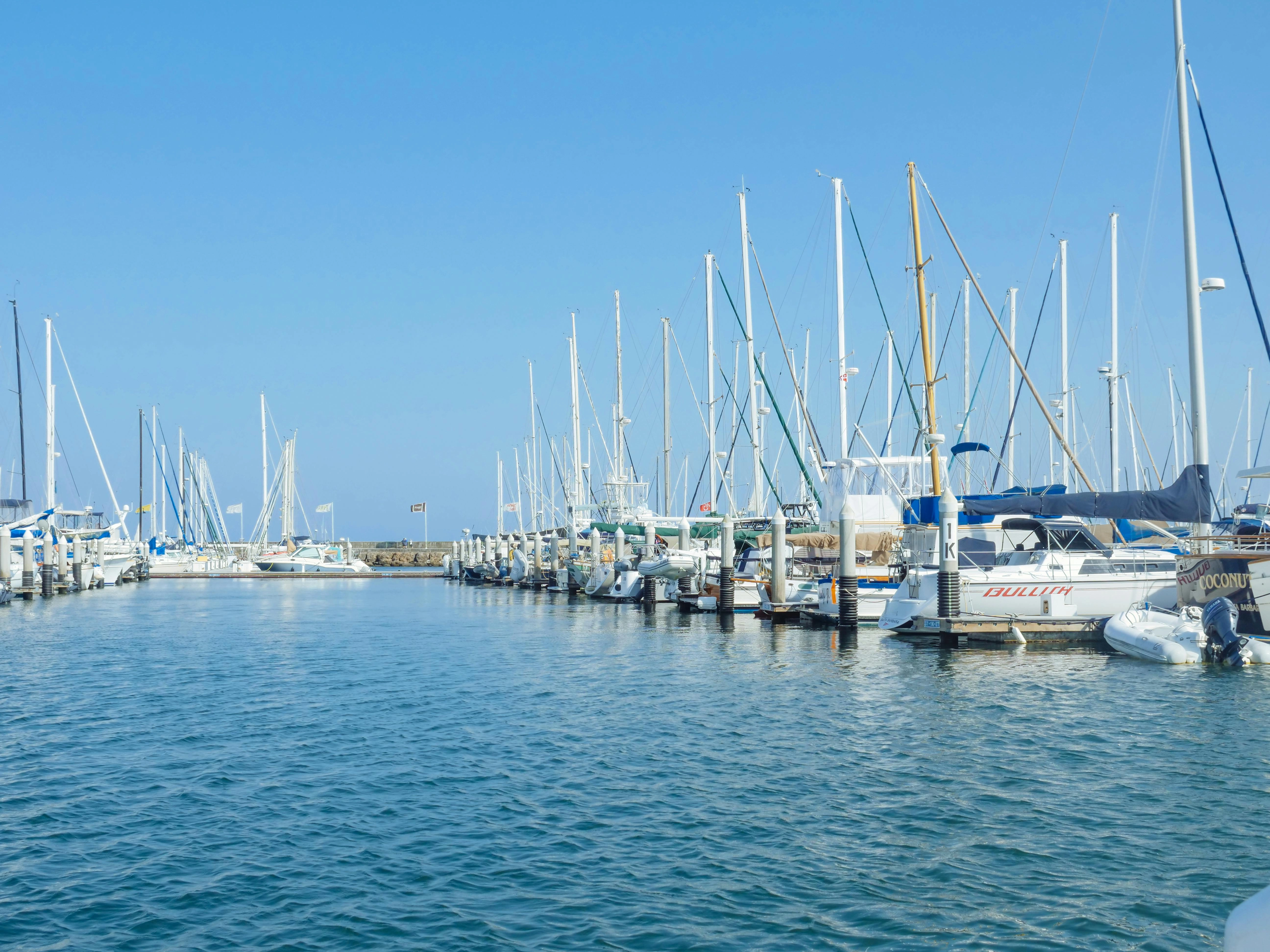 Marina Sailboats on Calm Waters