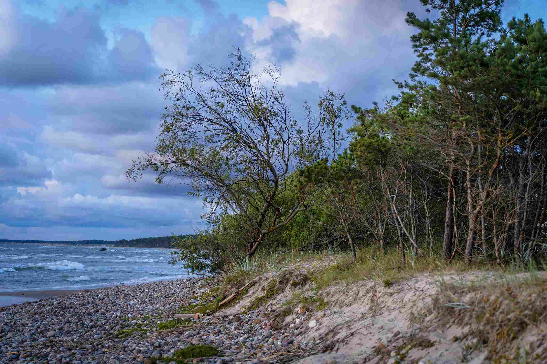 Stormy Baltic Color Palette, Combinations & Schemes | Octet Design Labs