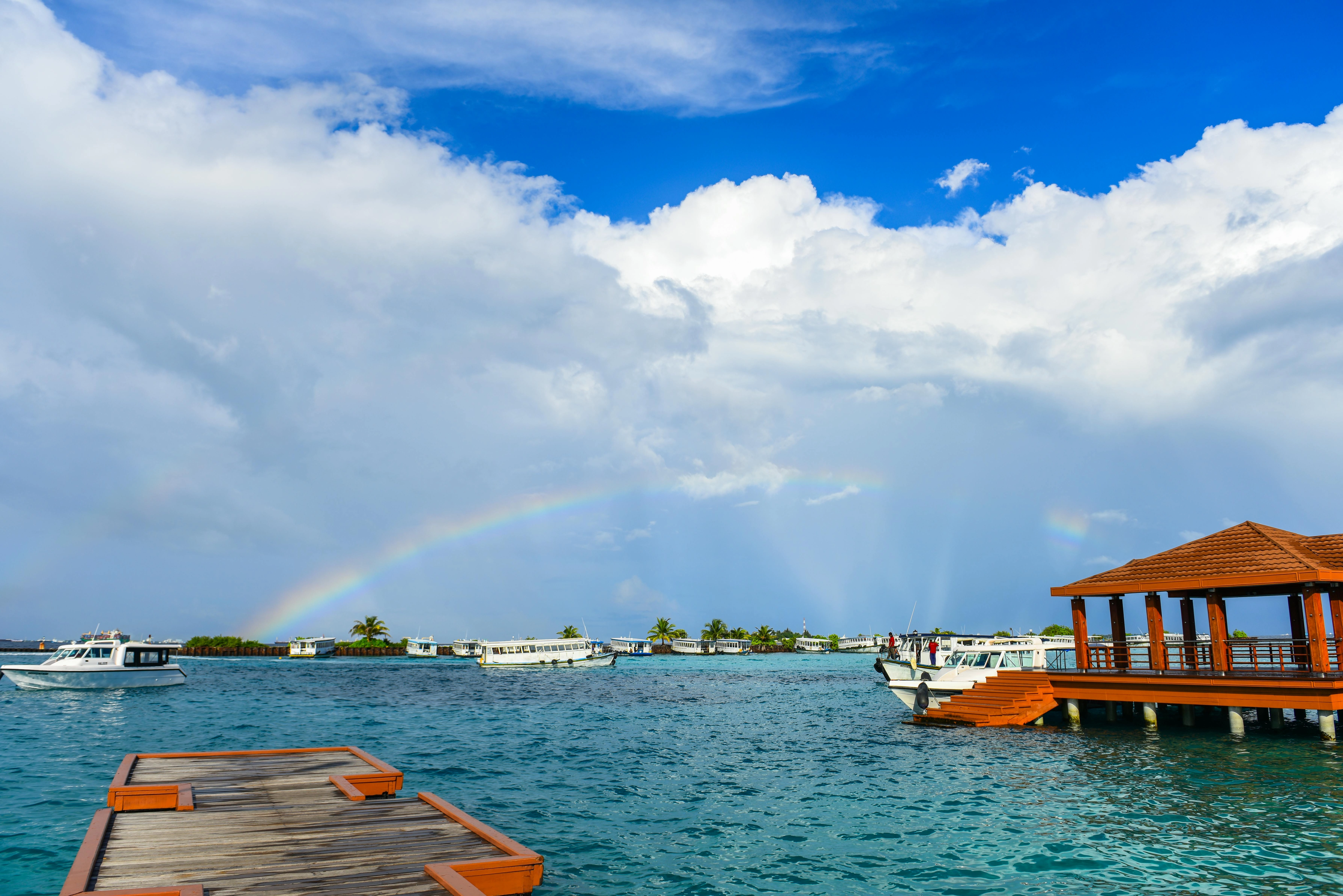 Tropical Paradise with Rainbow