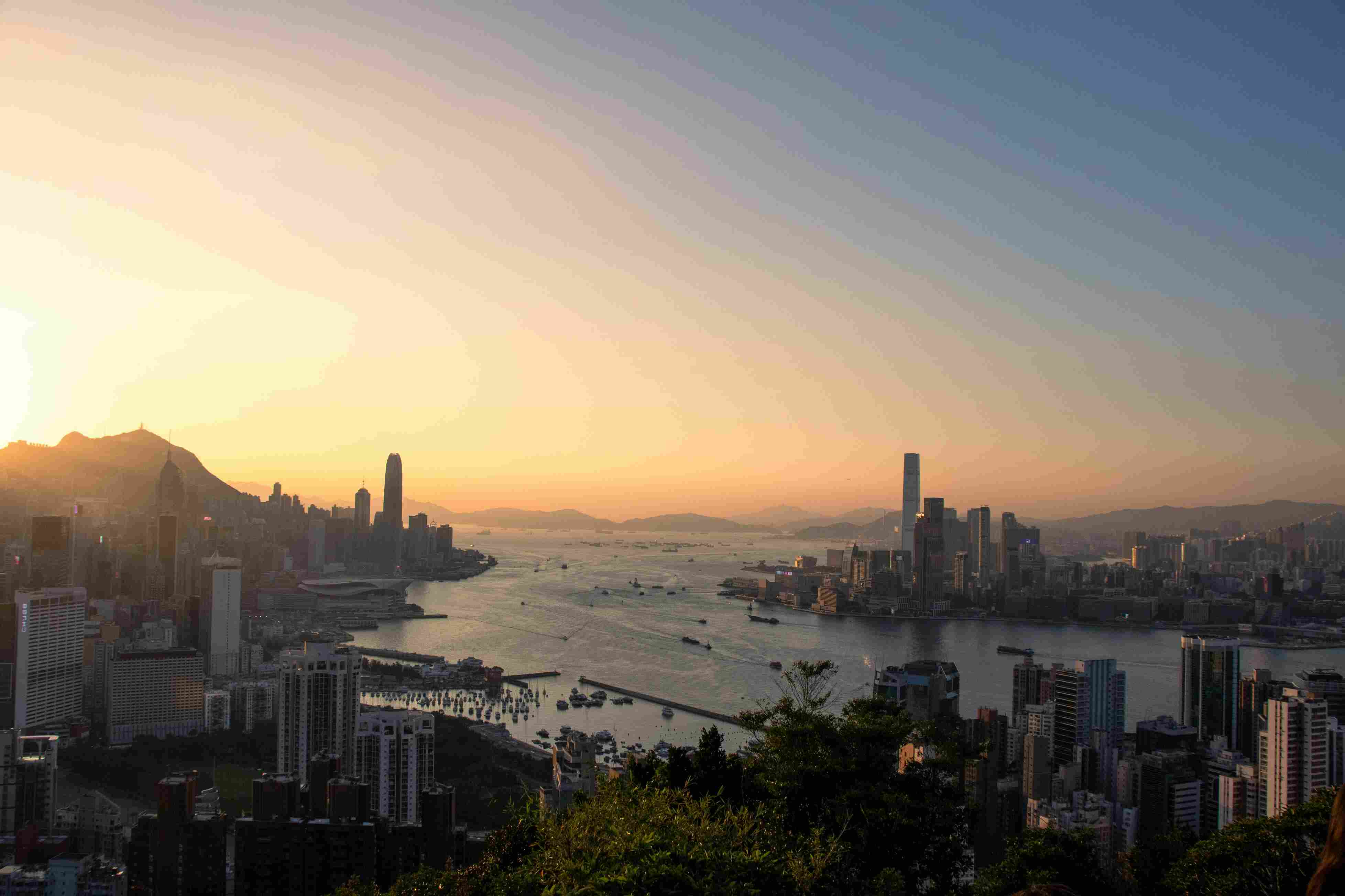 Best 55 Hong Kong Skyline Color Palettes | Octet Design Labs