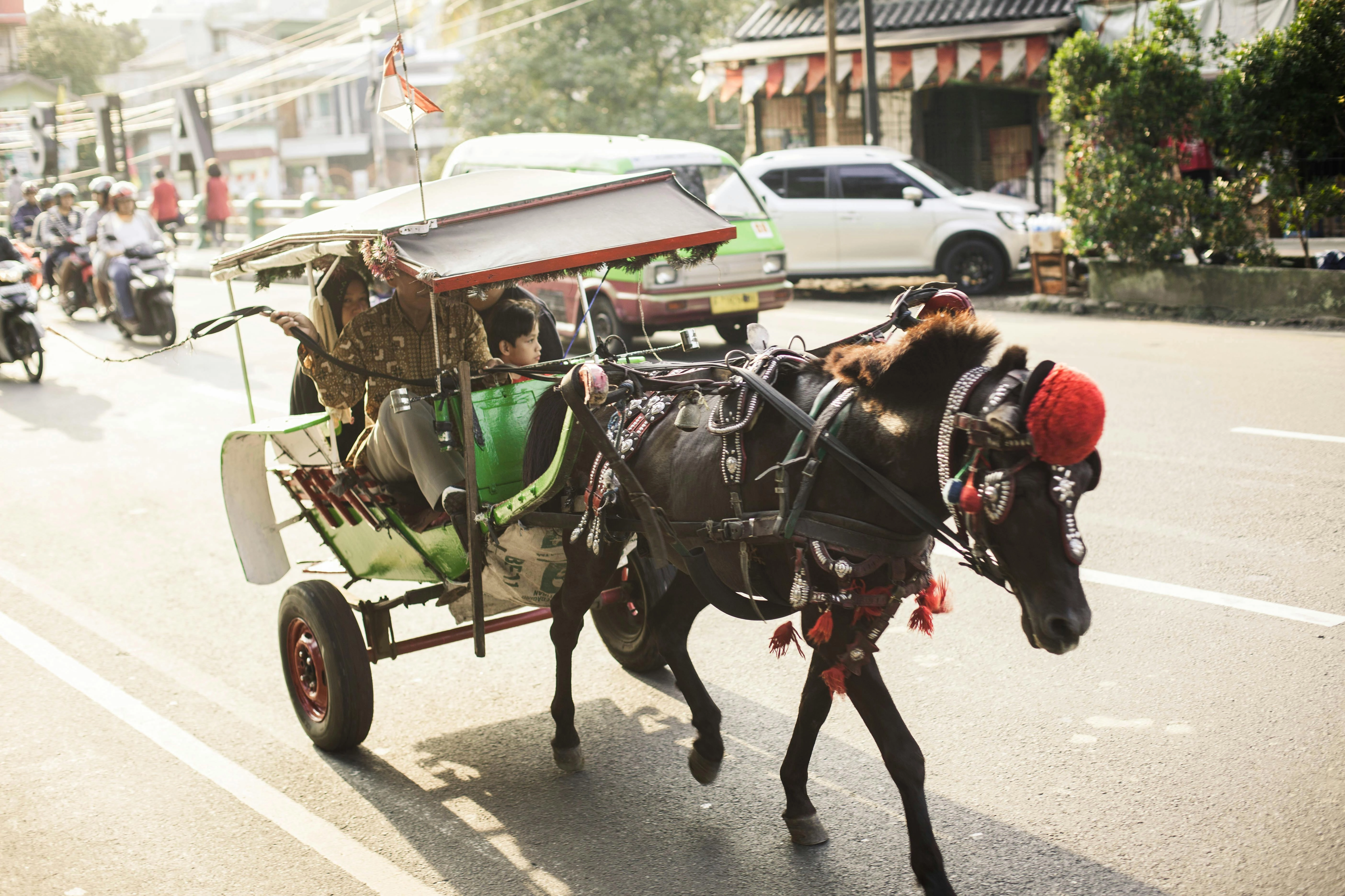 Horse-drawn carriage in town Horse-drawn carriage in town