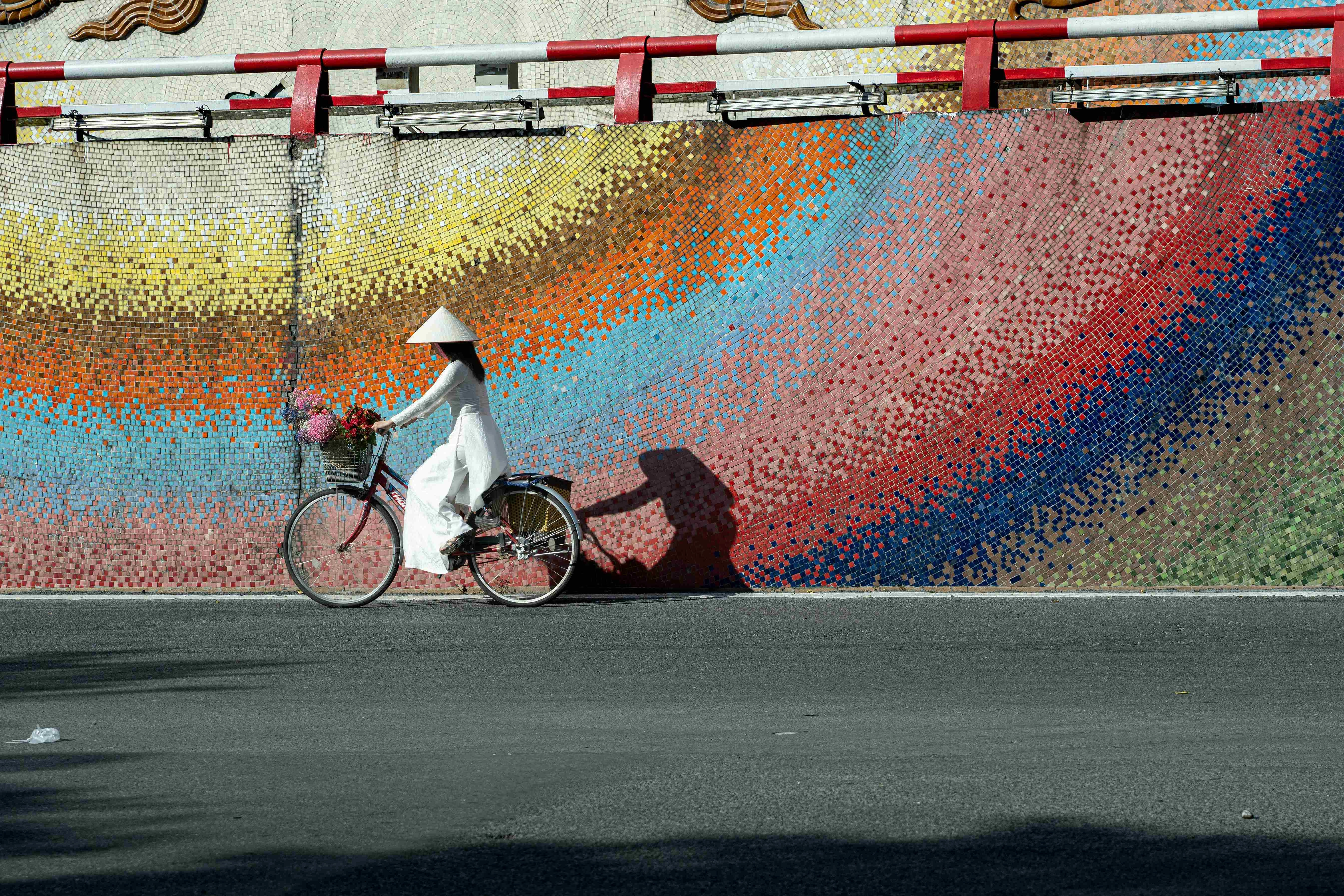 Vibrant Mosaic Bicycle Journey Vibrant Mosaic Bicycle Journey
