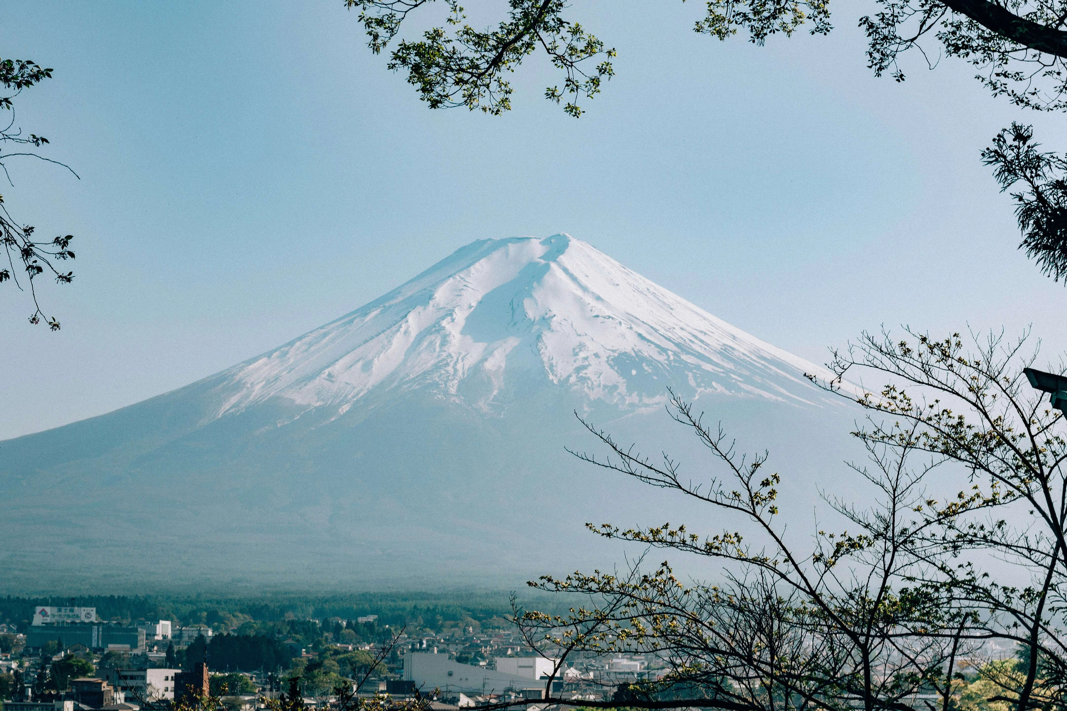 Mount Fuji Color Palette, Combinations & Schemes | Octet Design Labs