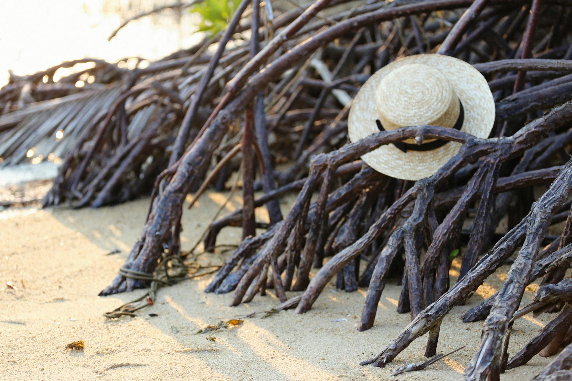 Beachside Straw Hat Adventure