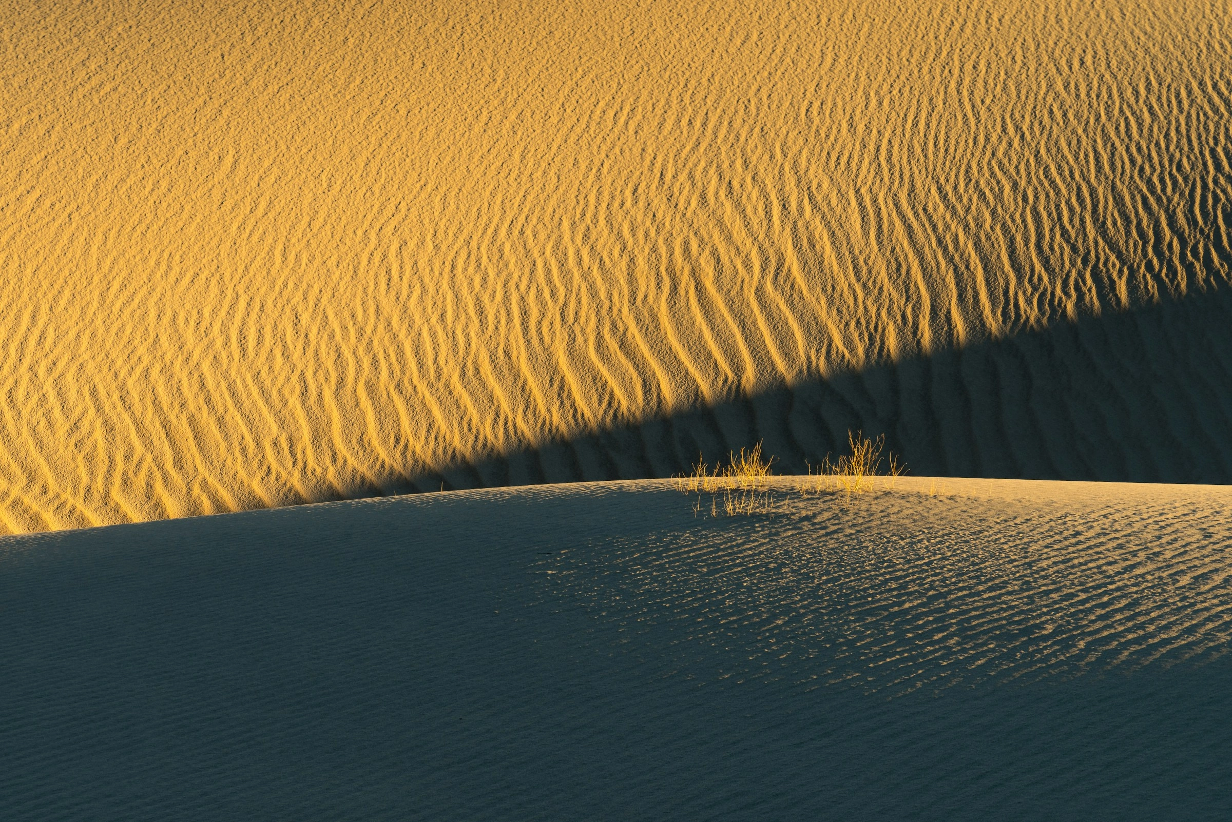 Desert Dune Color Palette, Combinations & Schemes | Octet Design Labs