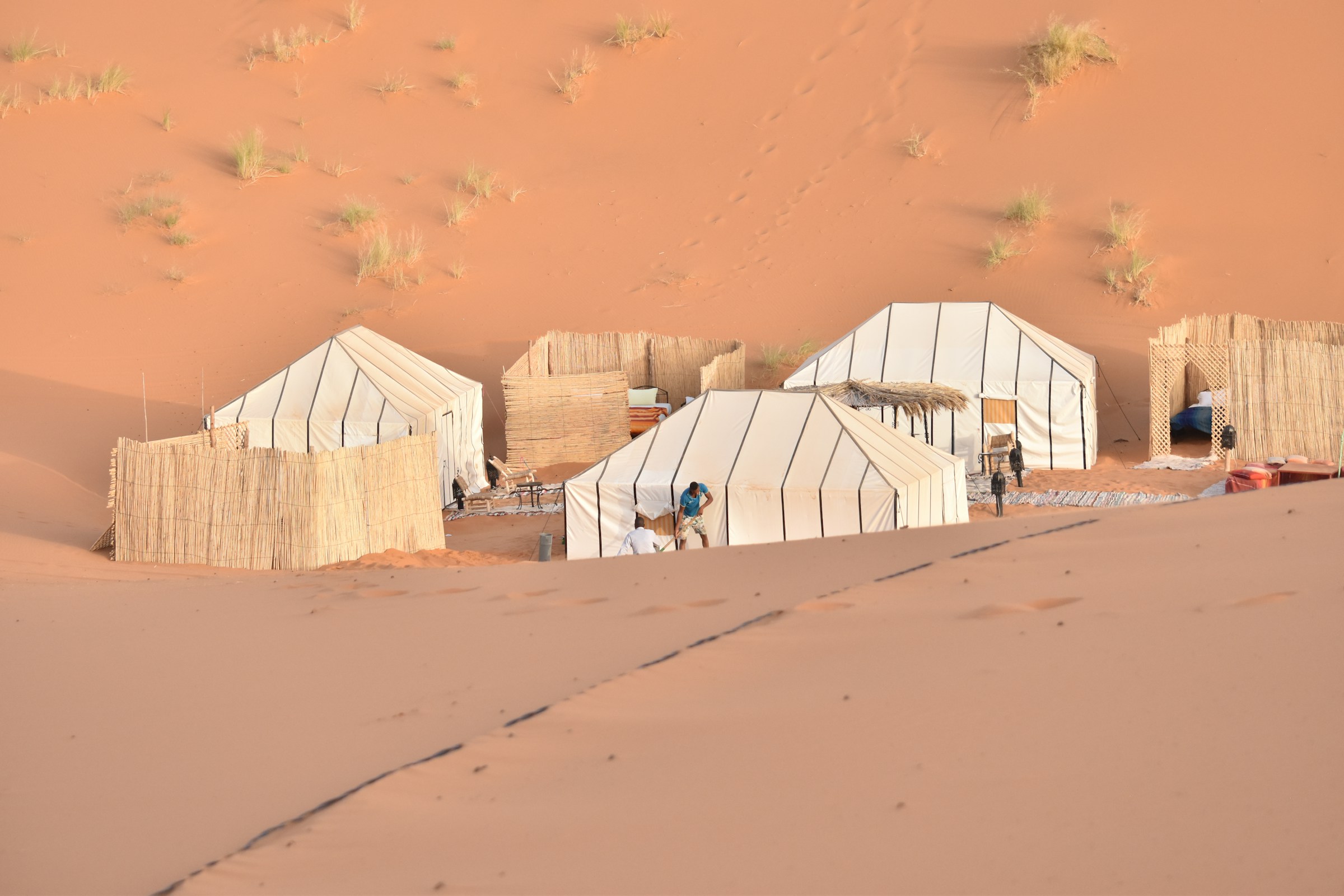 Desert Oasis Camp
