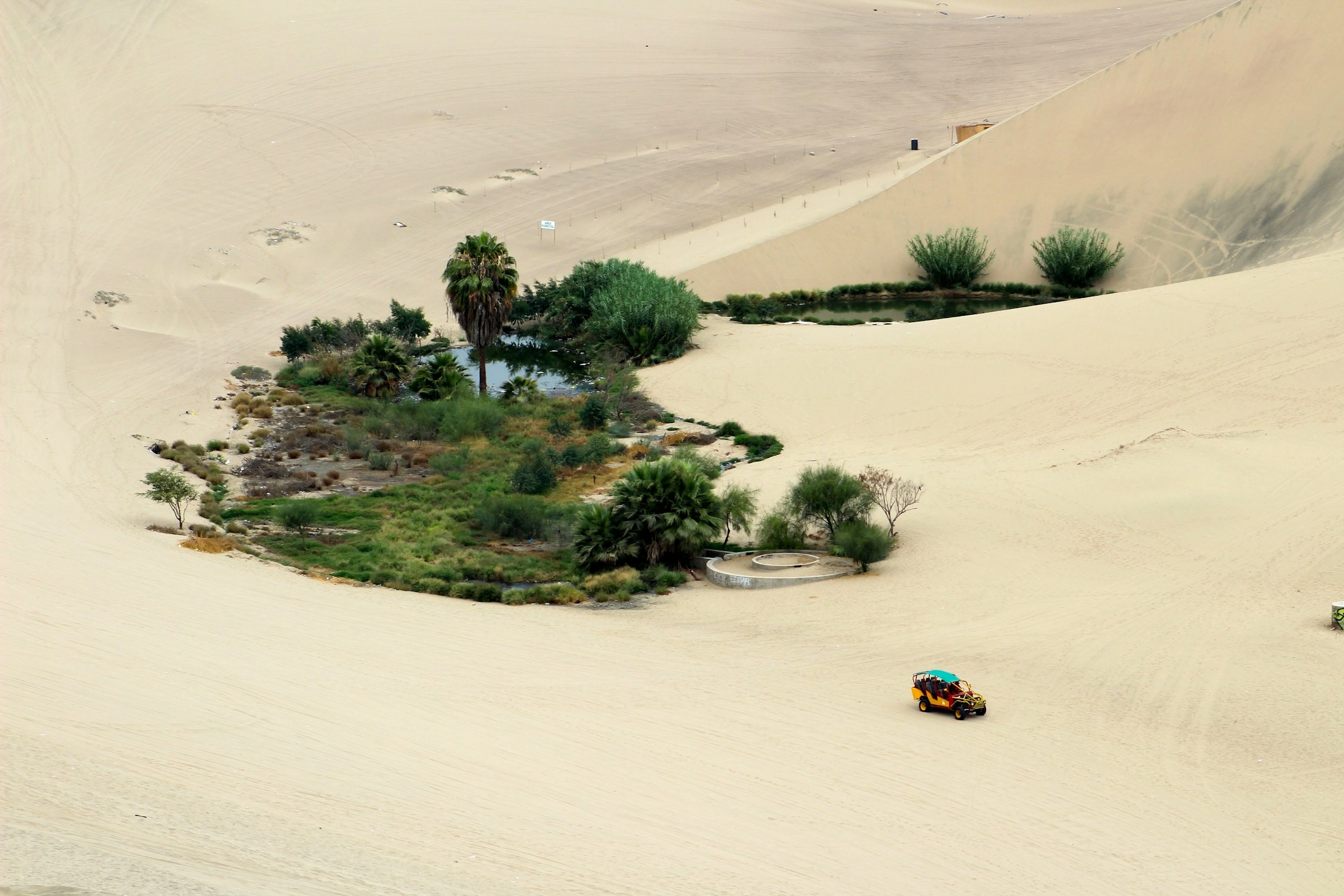 Desert Oasis with Dune Buggy Desert Oasis with Dune Buggy