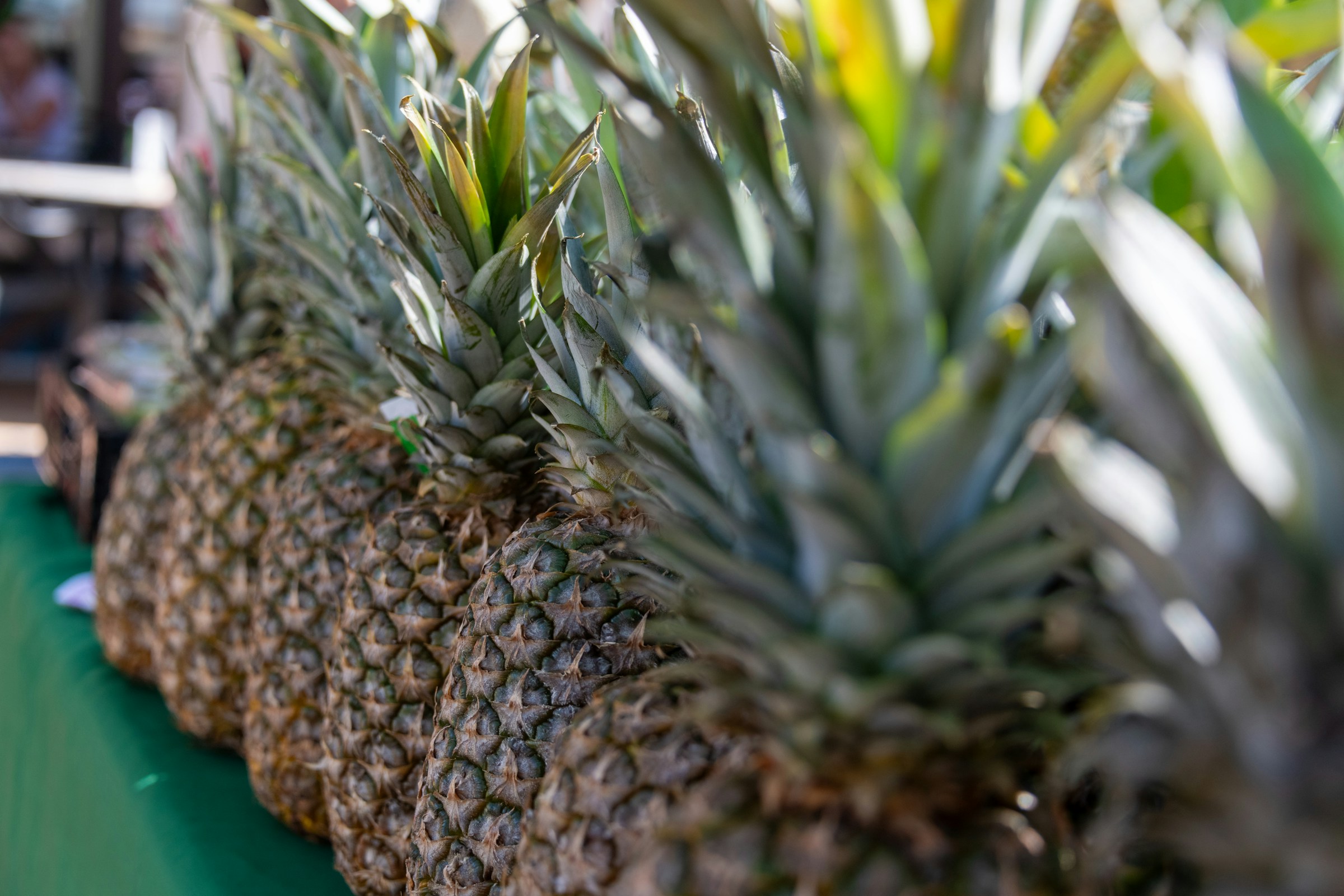 Fresh Pineapples on Display Fresh Pineapples on Display