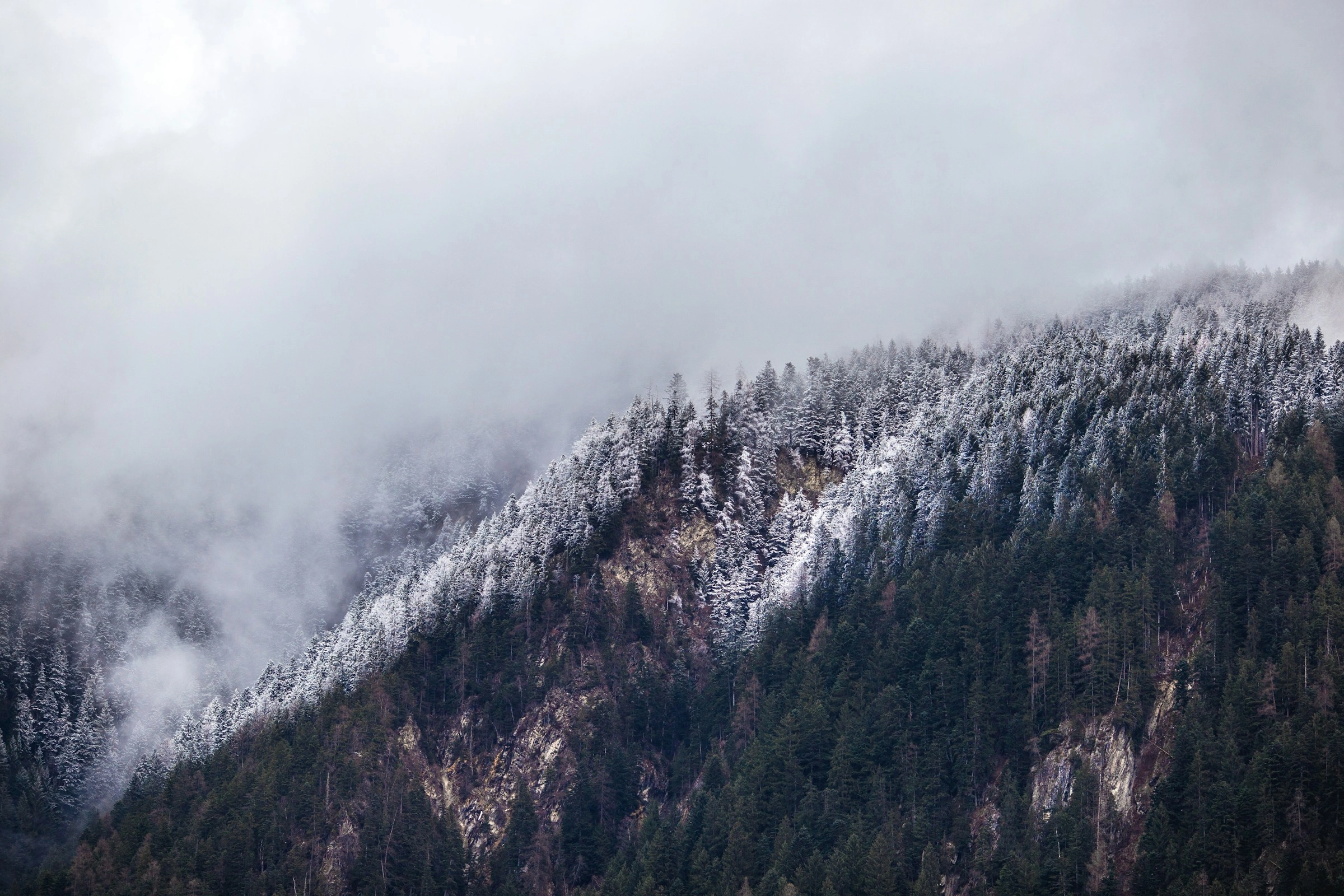 Misty Snow-Capped Mountain Forest Misty Snow-Capped Mountain Forest