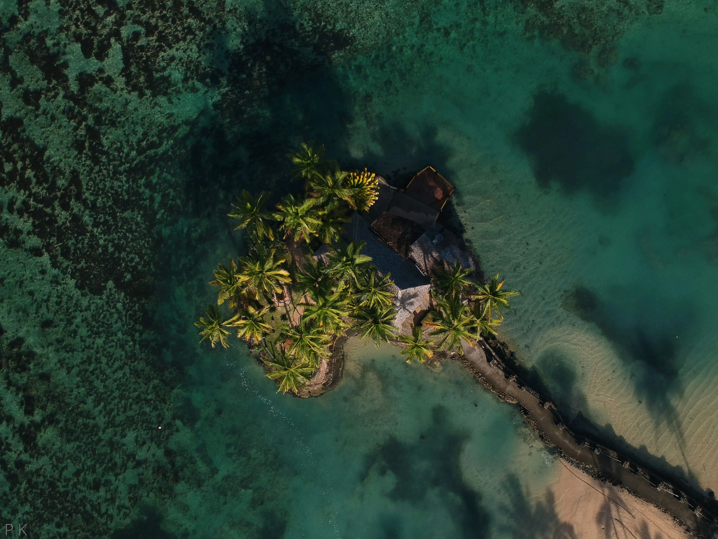 Tropical Island Color Palette, Combinations & Schemes | Octet Design Labs