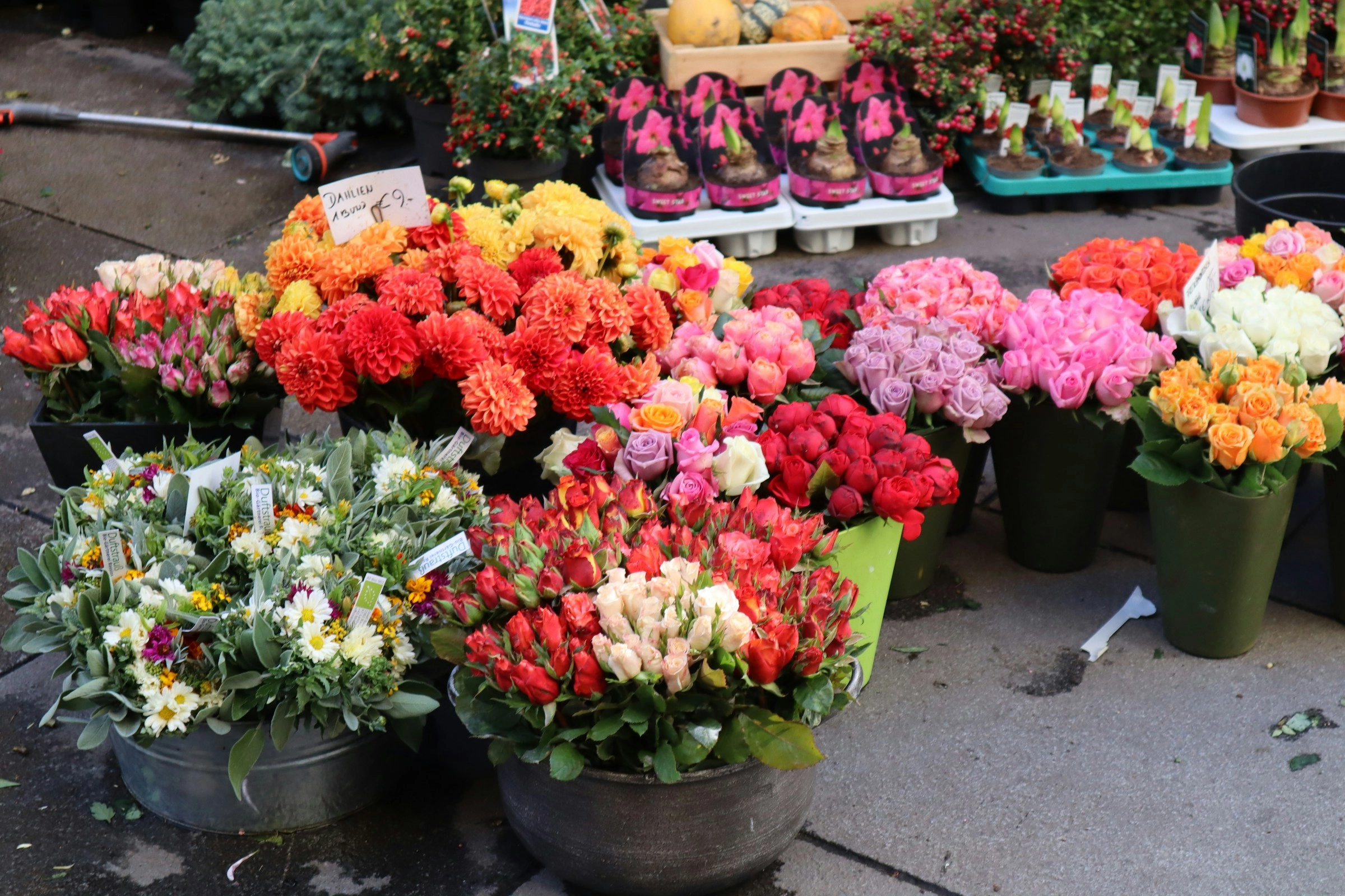 Vibrant Flower Market Display Vibrant Flower Market Display