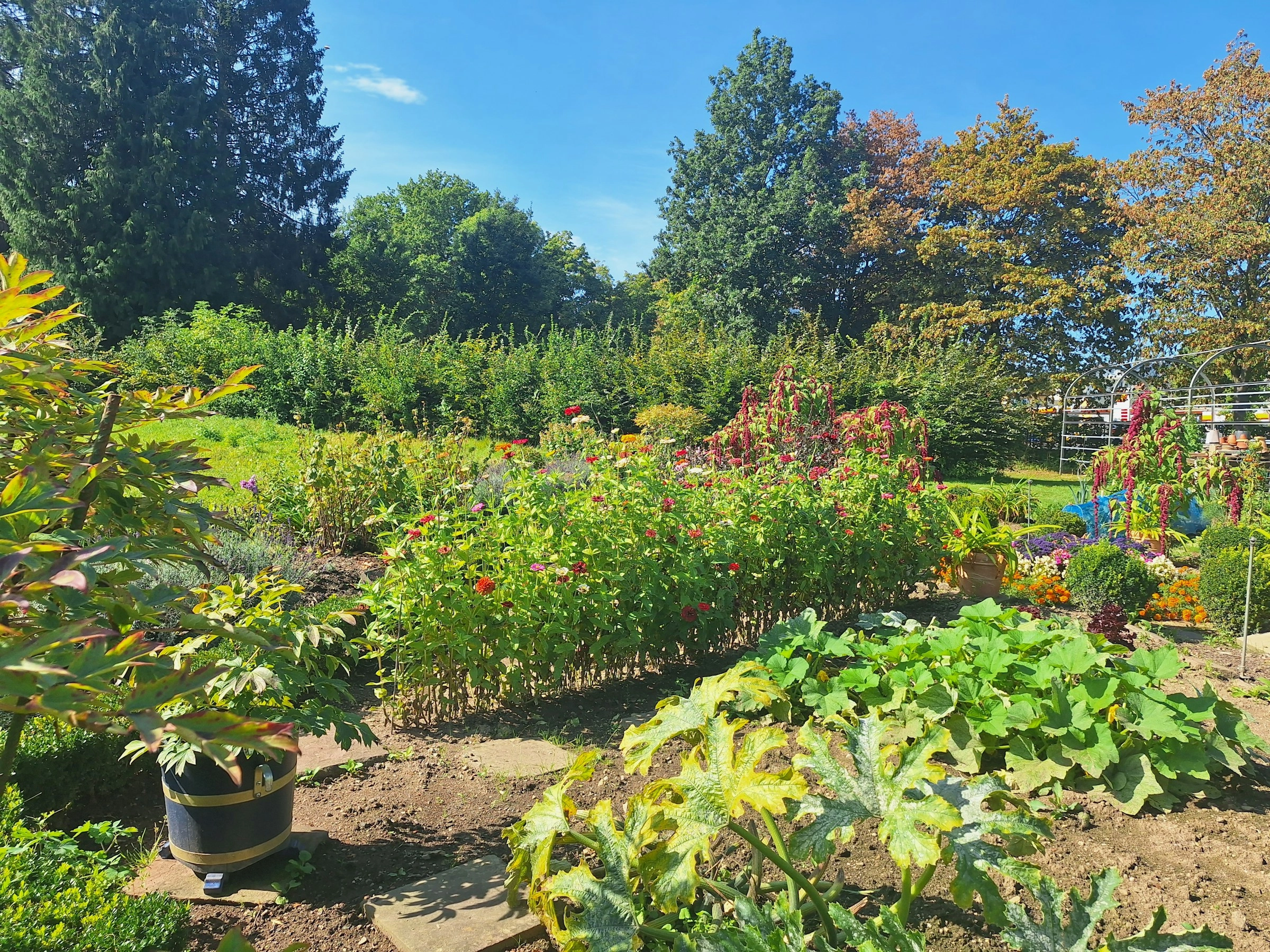 Vibrant Summer Garden Oasis Vibrant Summer Garden Oasis