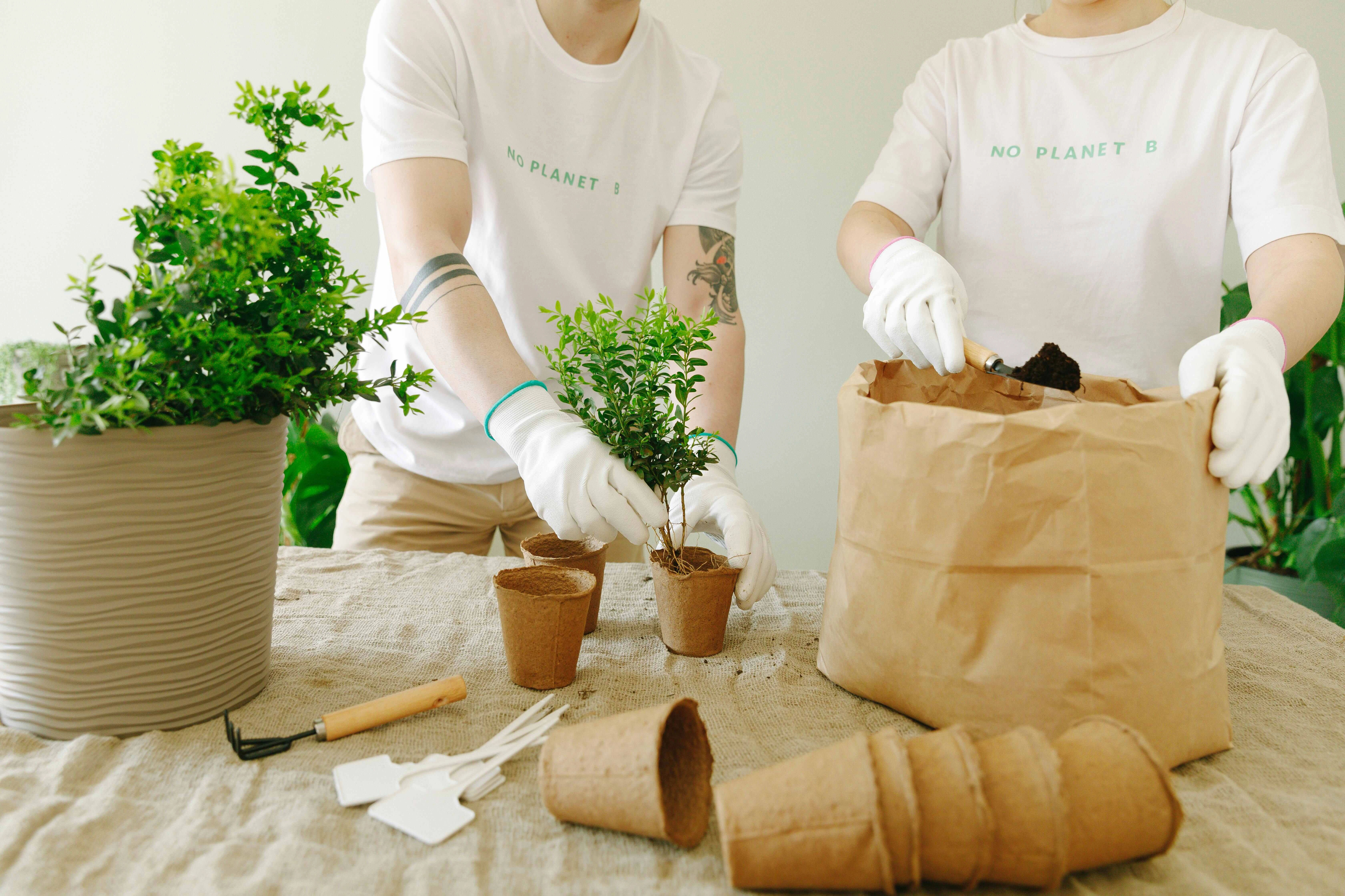 Eco-Friendly Plant Care Workshop Eco-Friendly Plant Care Workshop