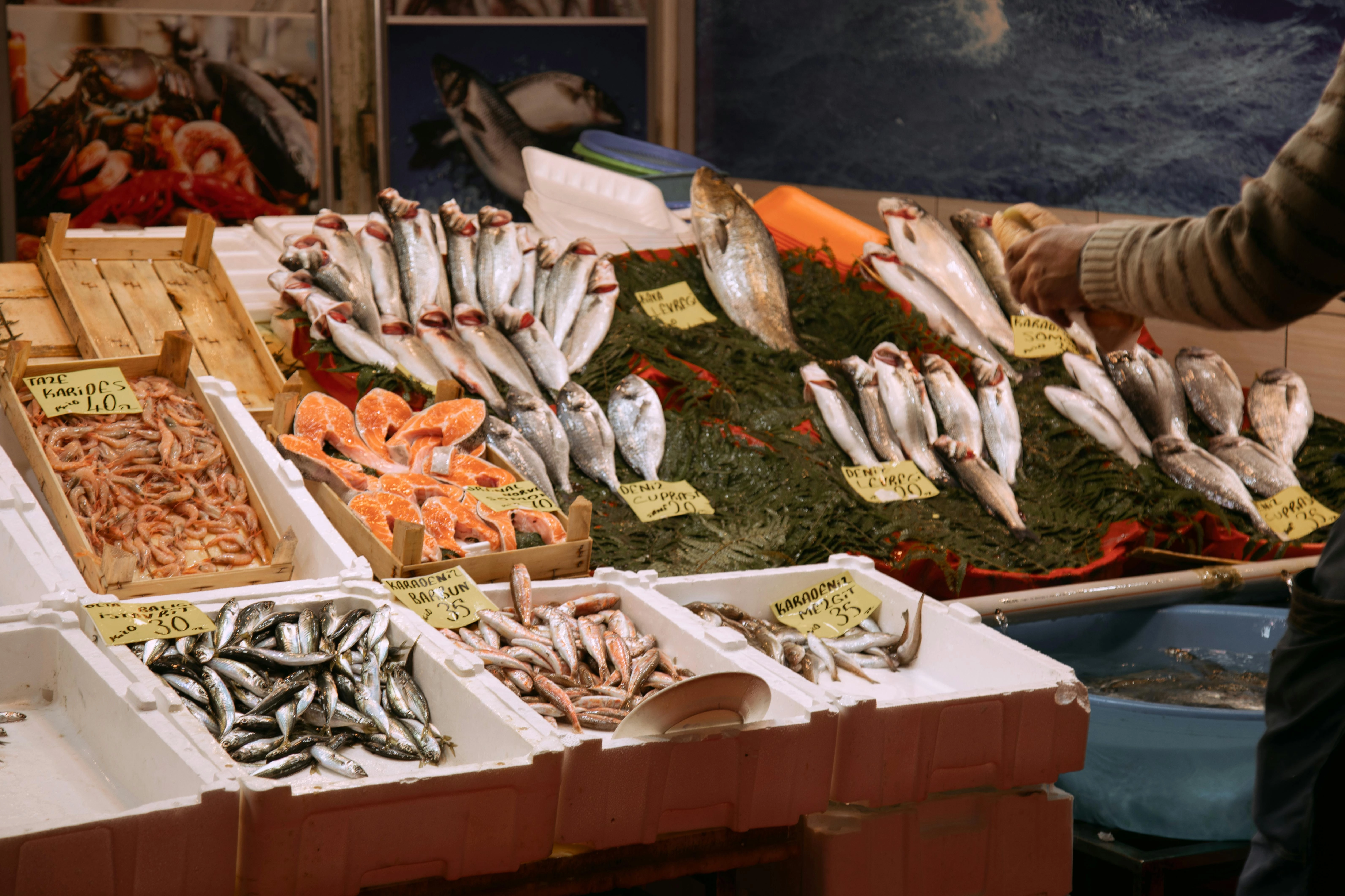 Fresh Fish Market Display