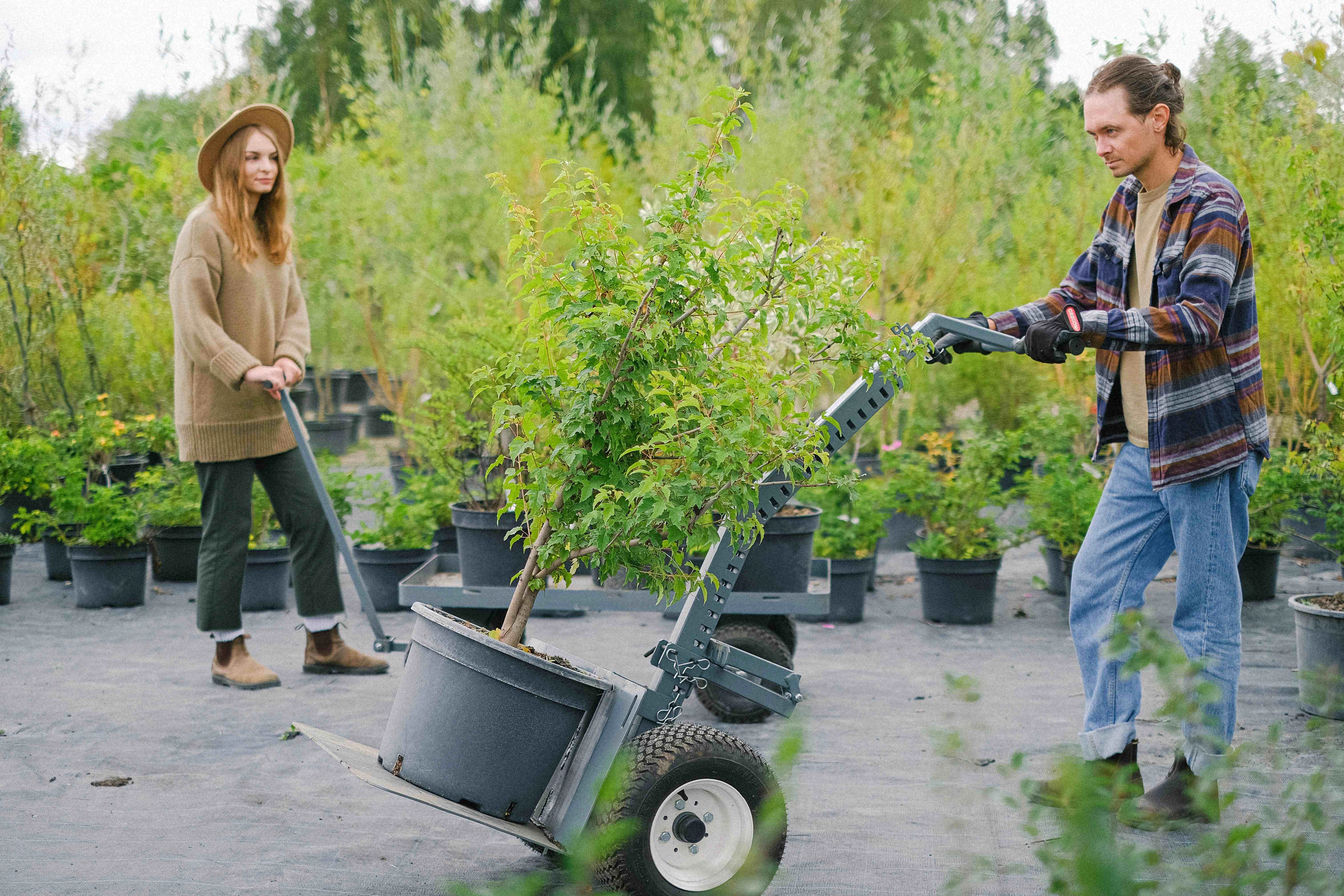 Garden Center Plant Care Garden Center Plant Care