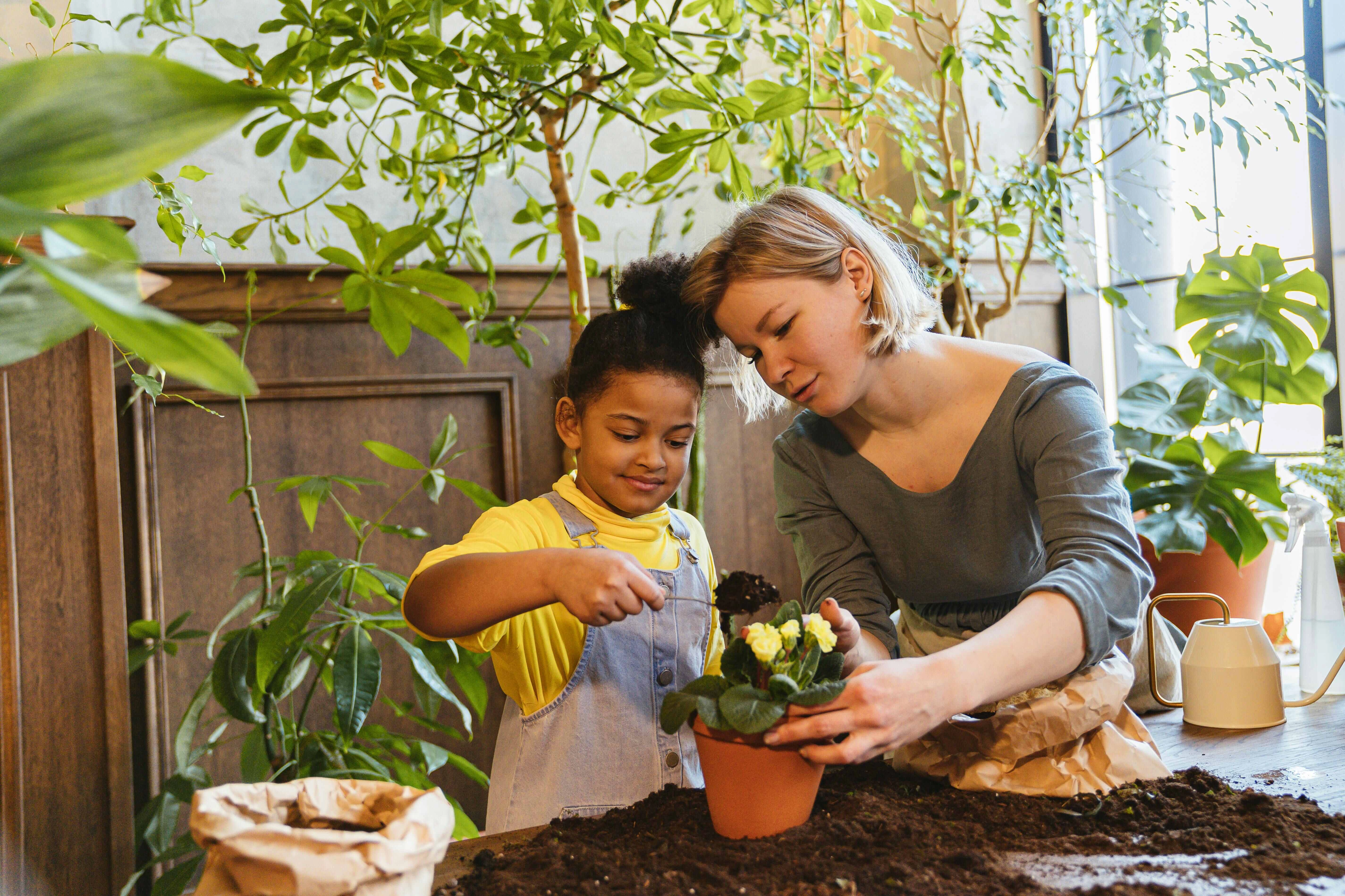 Gardening Together in Sunlight Gardening Together in Sunlight