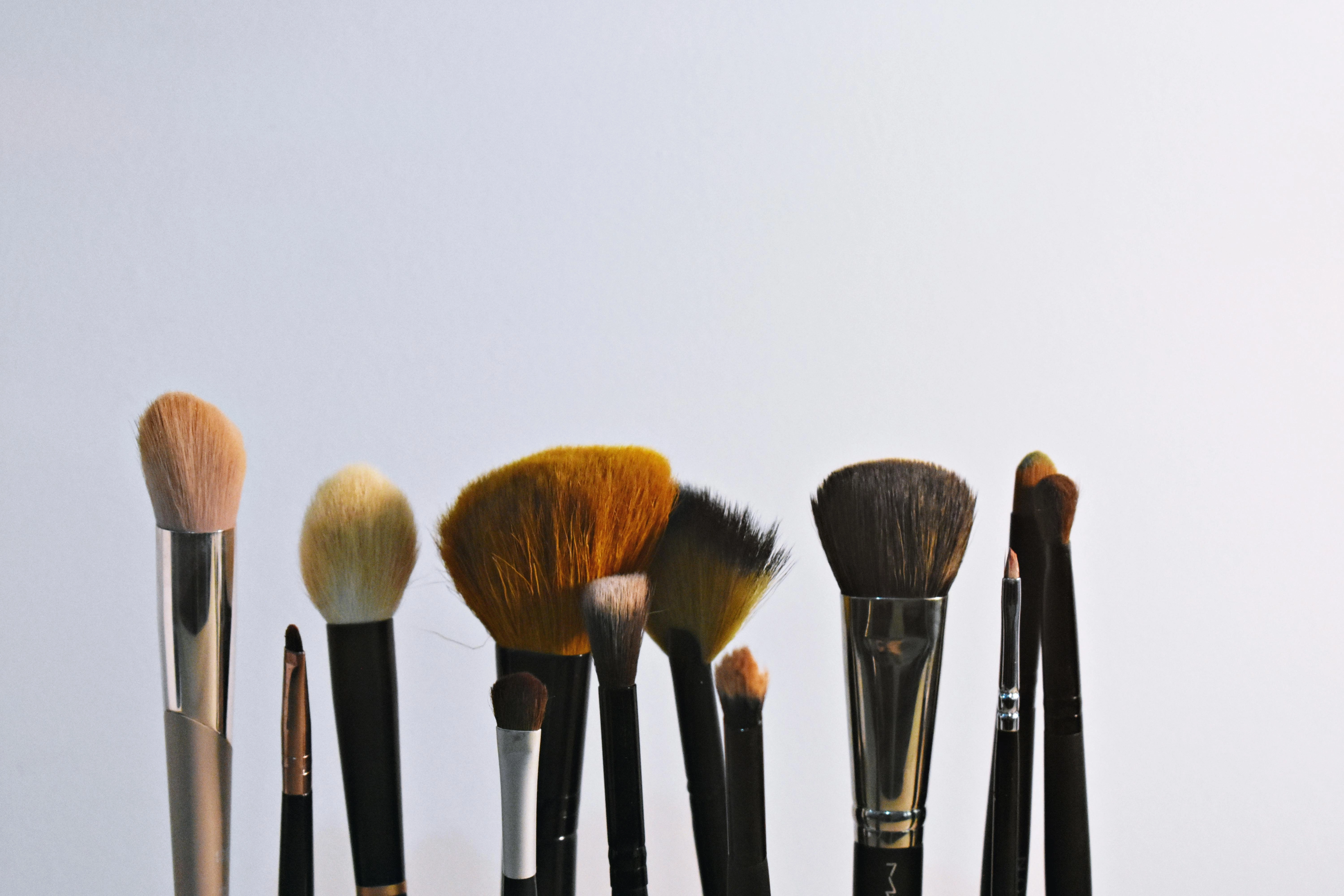 Makeup Brushes Assortment Makeup Brushes Assortment