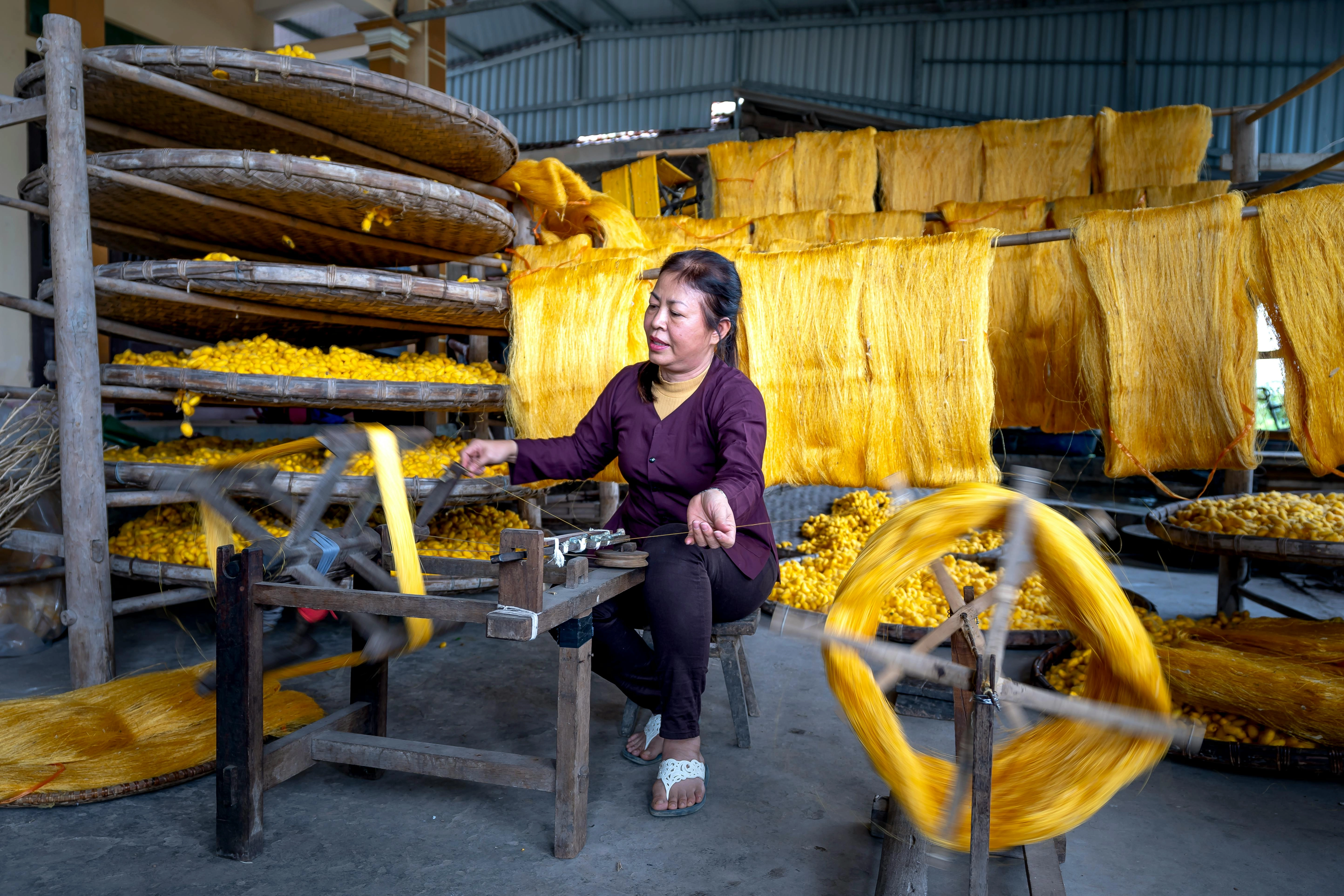 Silk Processing in Vietnam Silk Processing in Vietnam