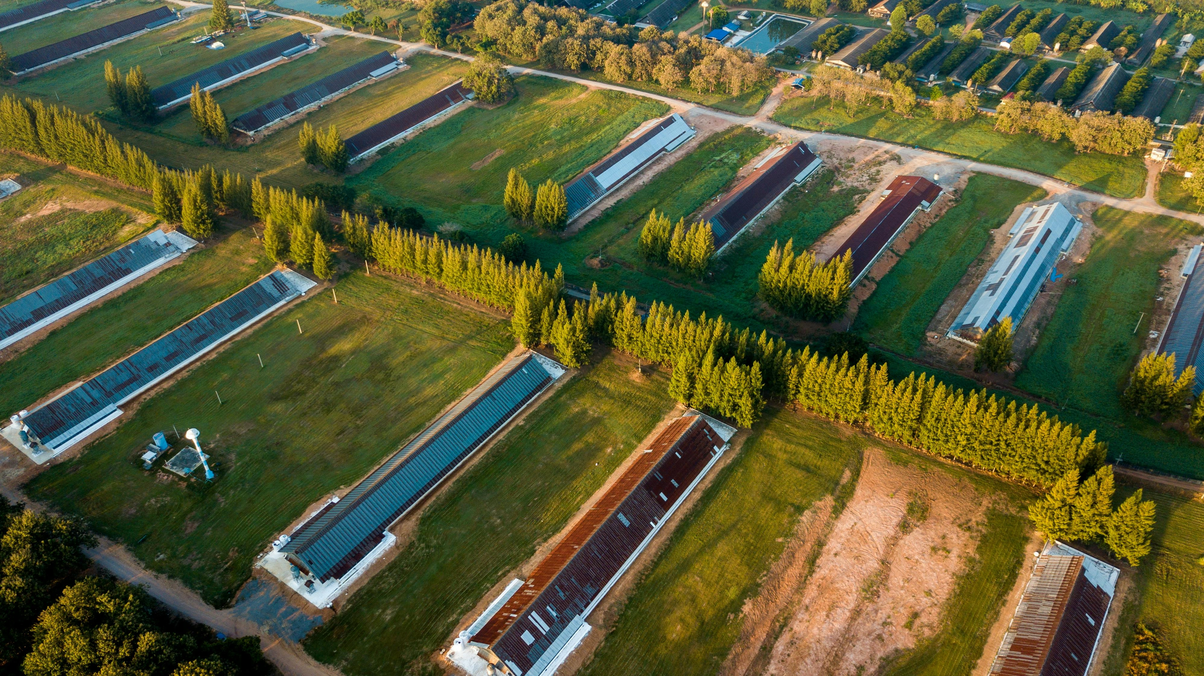 Aerial Farm Solar Panels