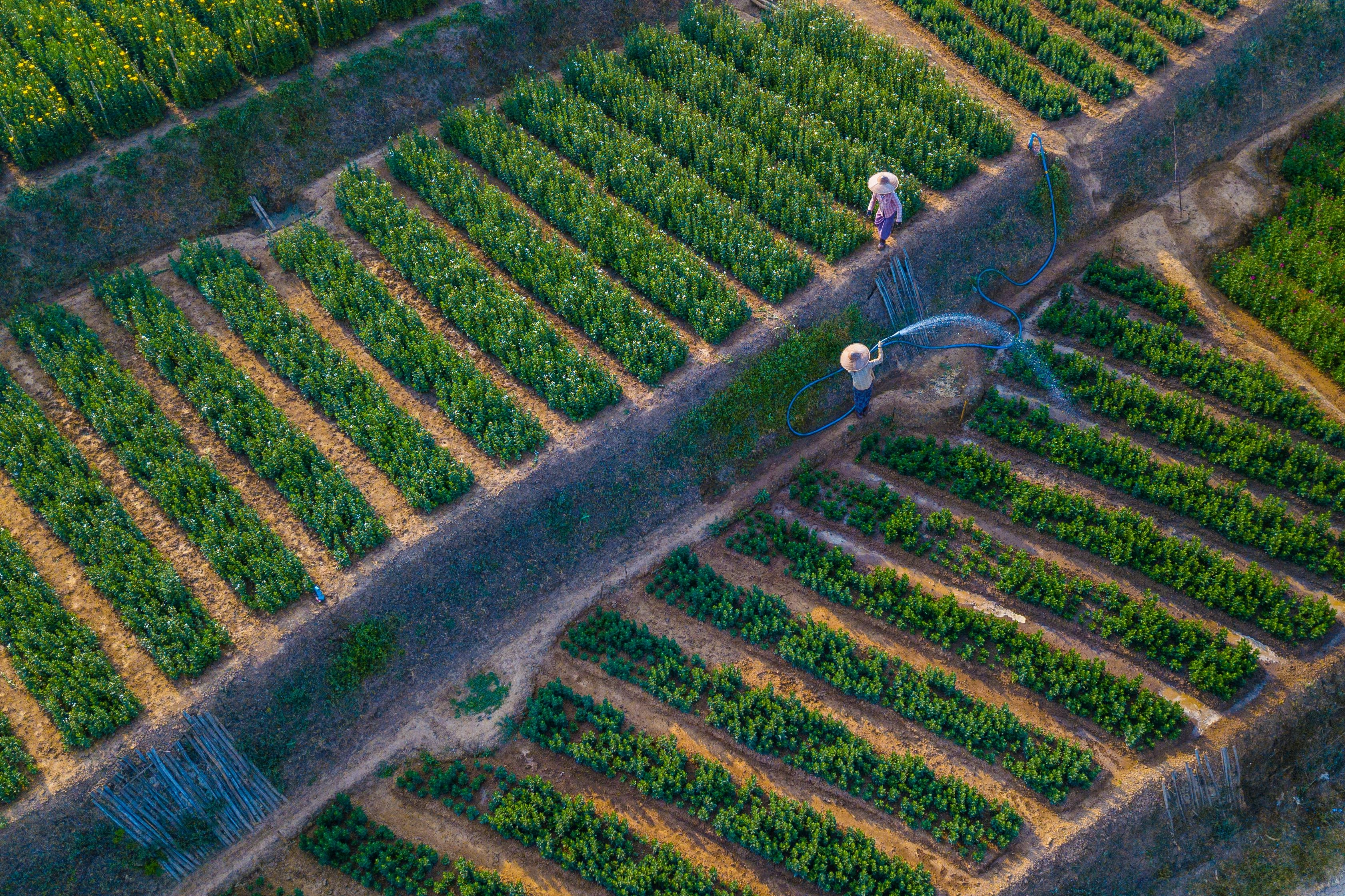 Aerial View Agricultural Farm