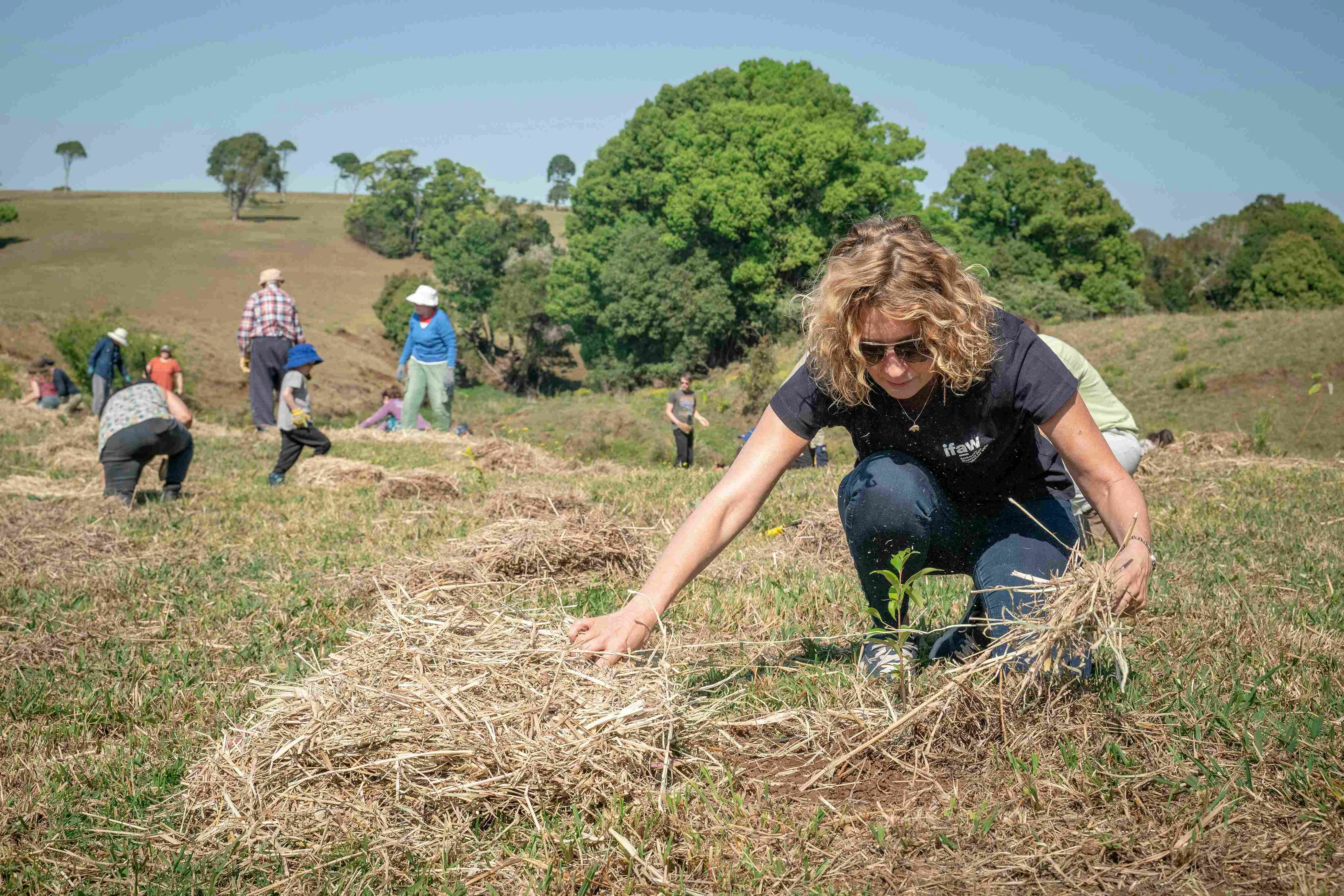 Community Reforestation Effort