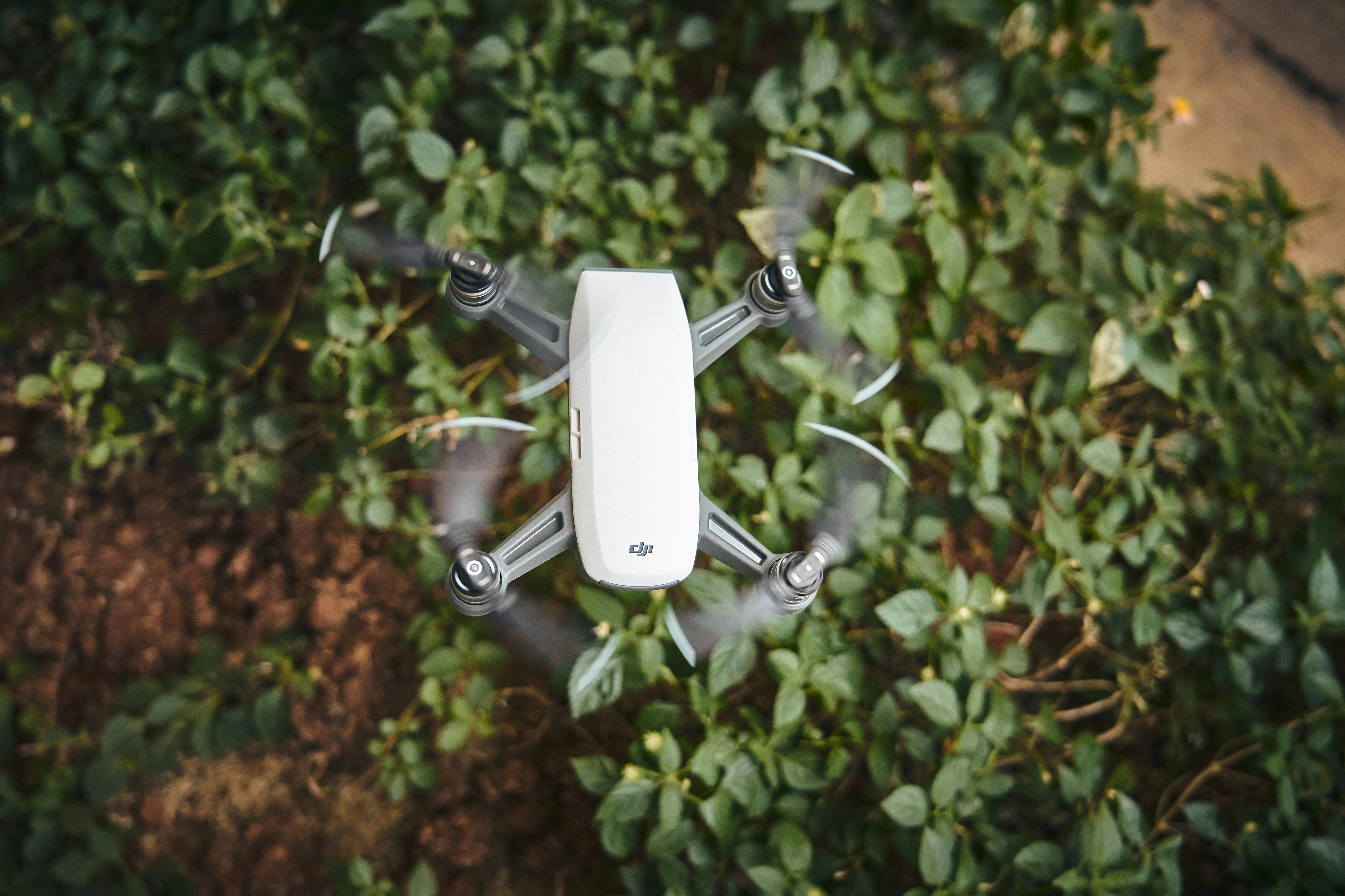 Drone hovering over foliage