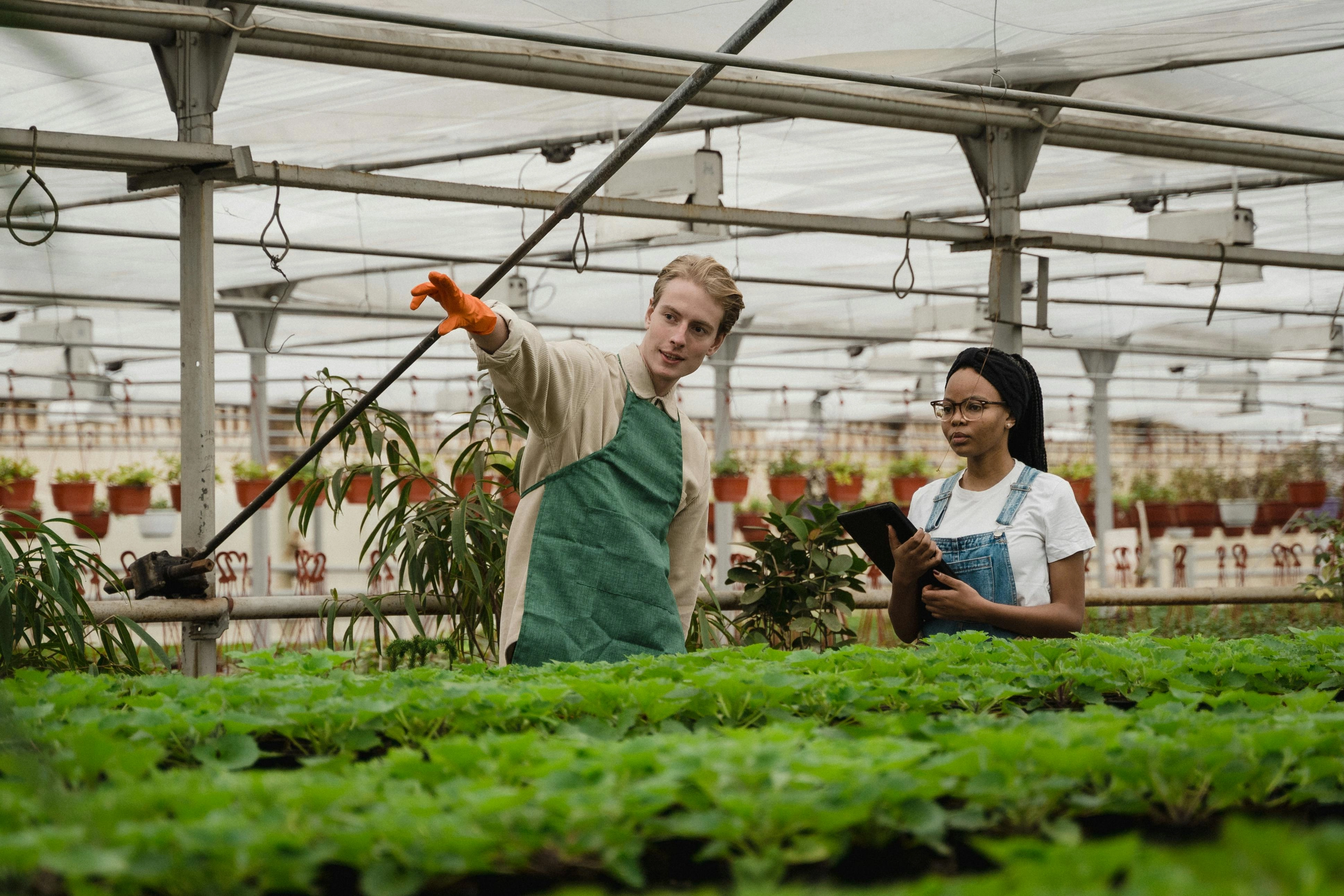 Greenhouse Agriculture Team Collaboration