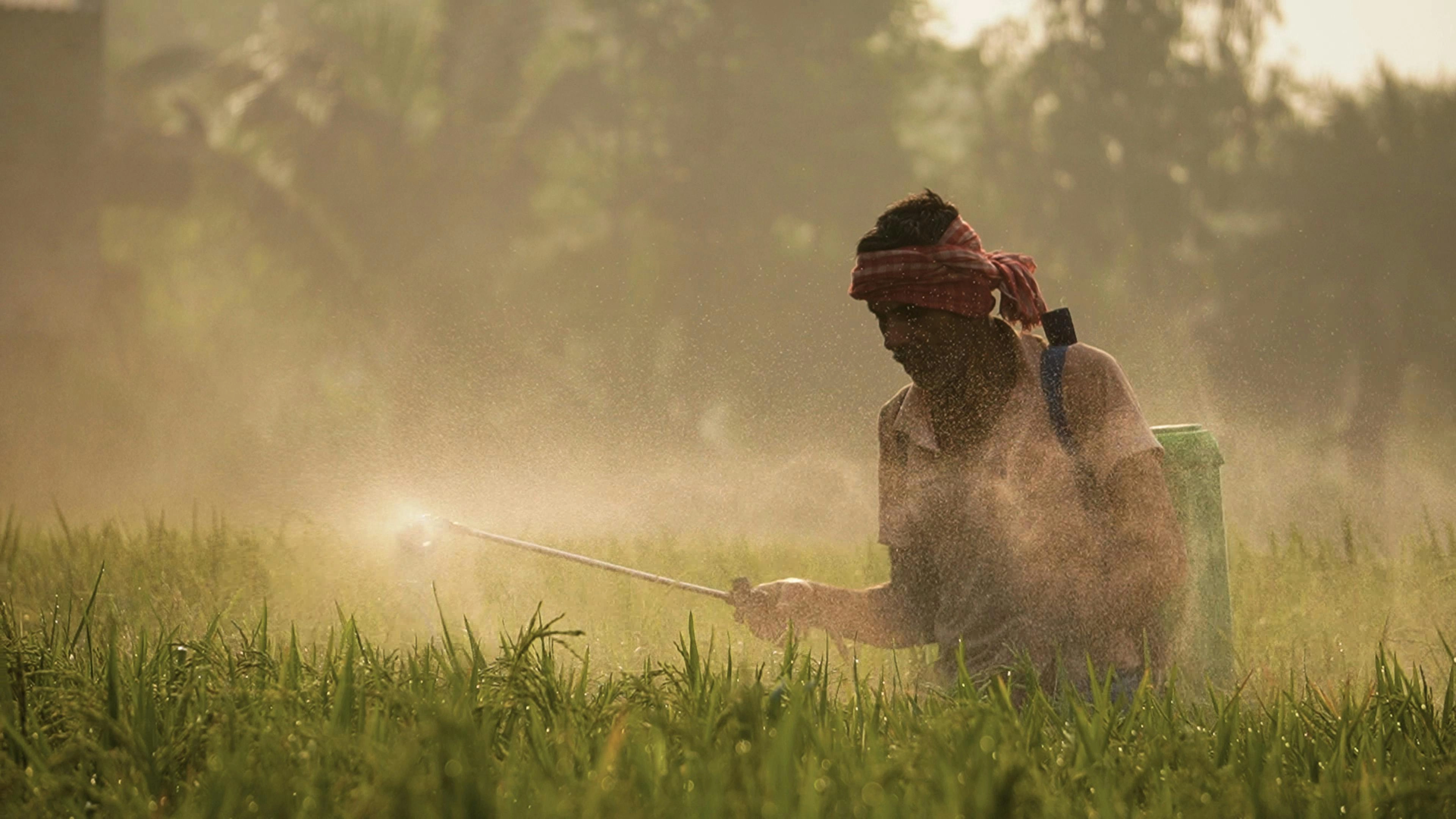 Misty Farm Worker Spraying