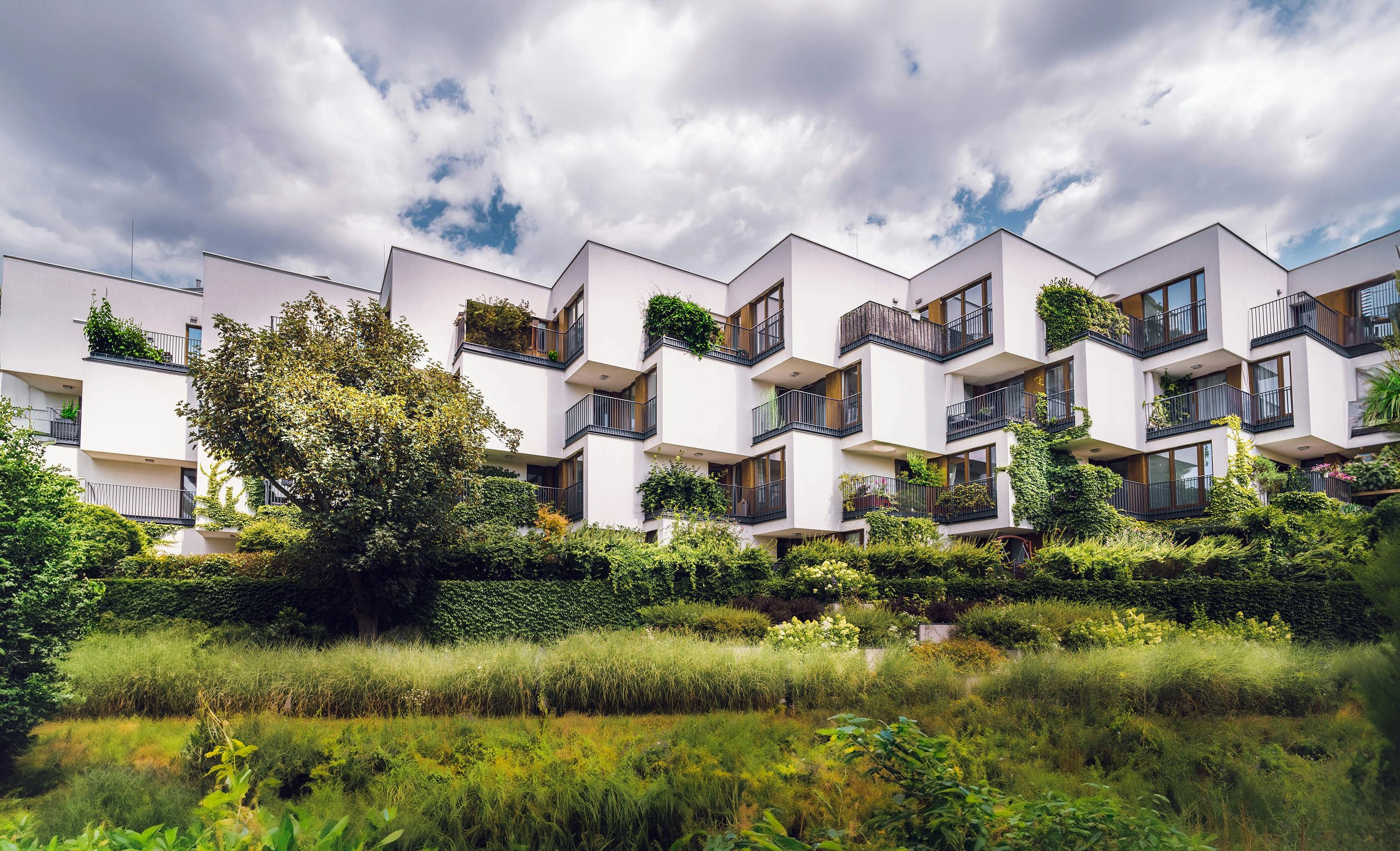 Modern Eco-Friendly Color Palette, Combinations & Schemes | Octet ...