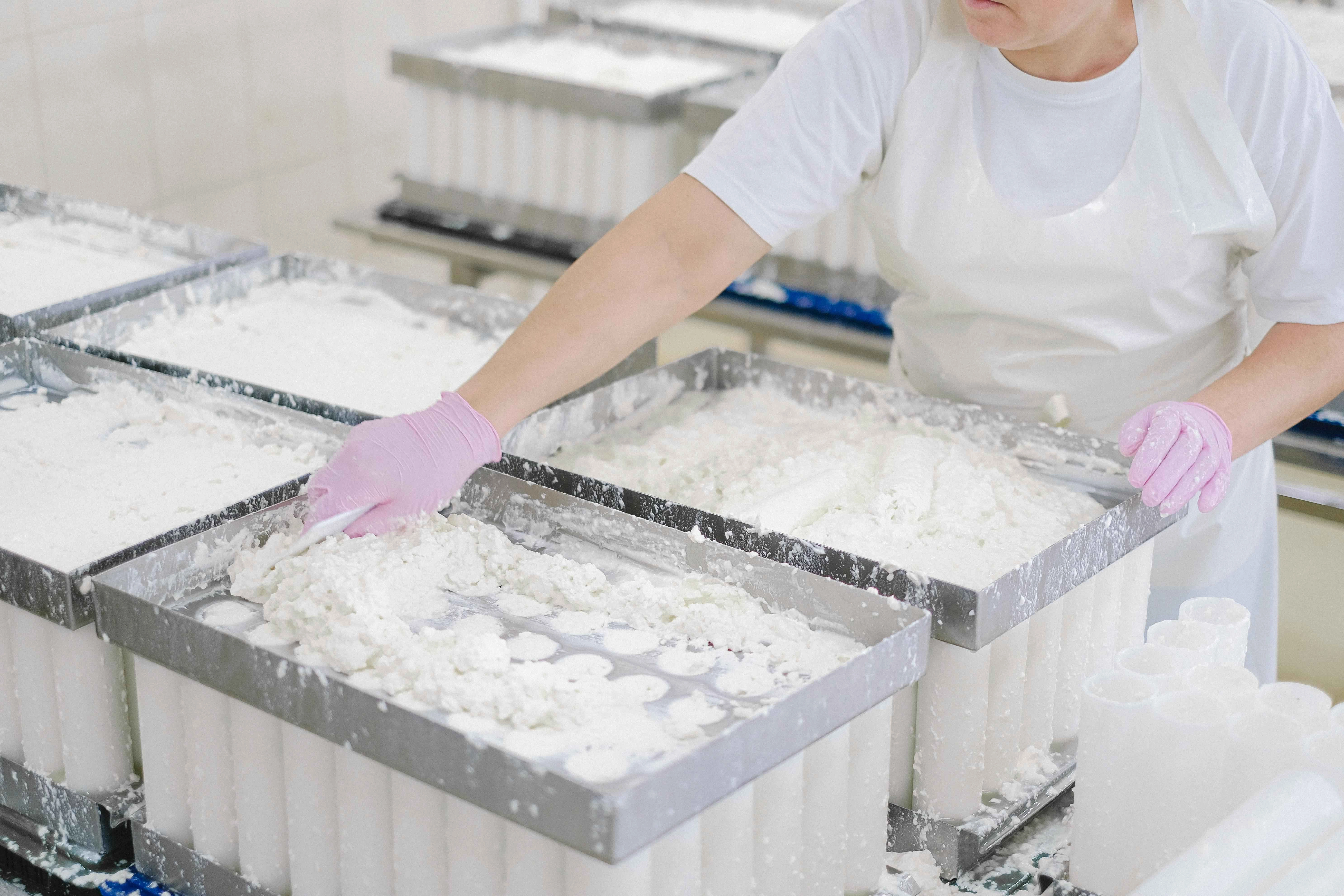 Cheese Production in Factory Cheese Production in Factory