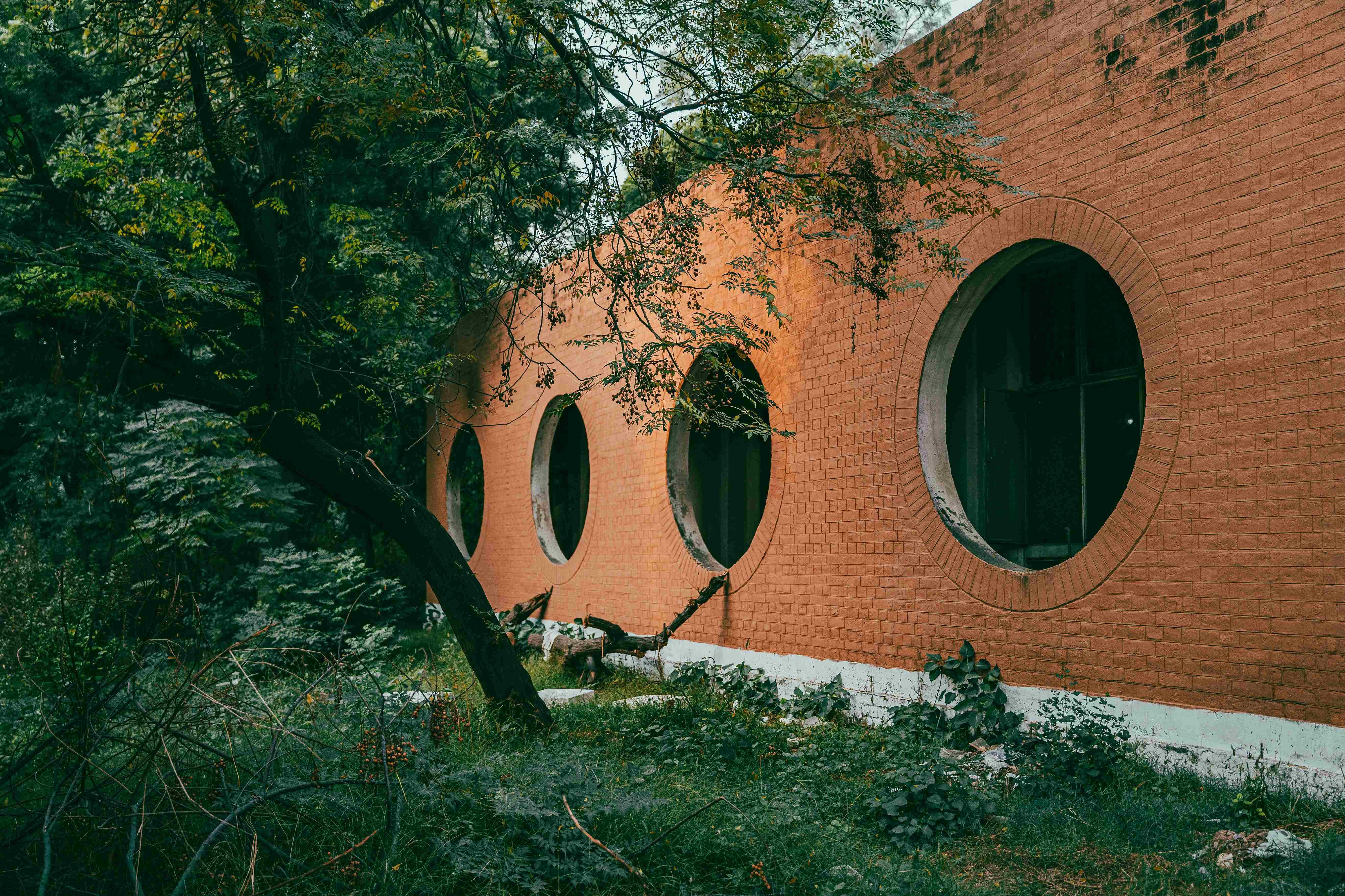 Circular Windows in Nature