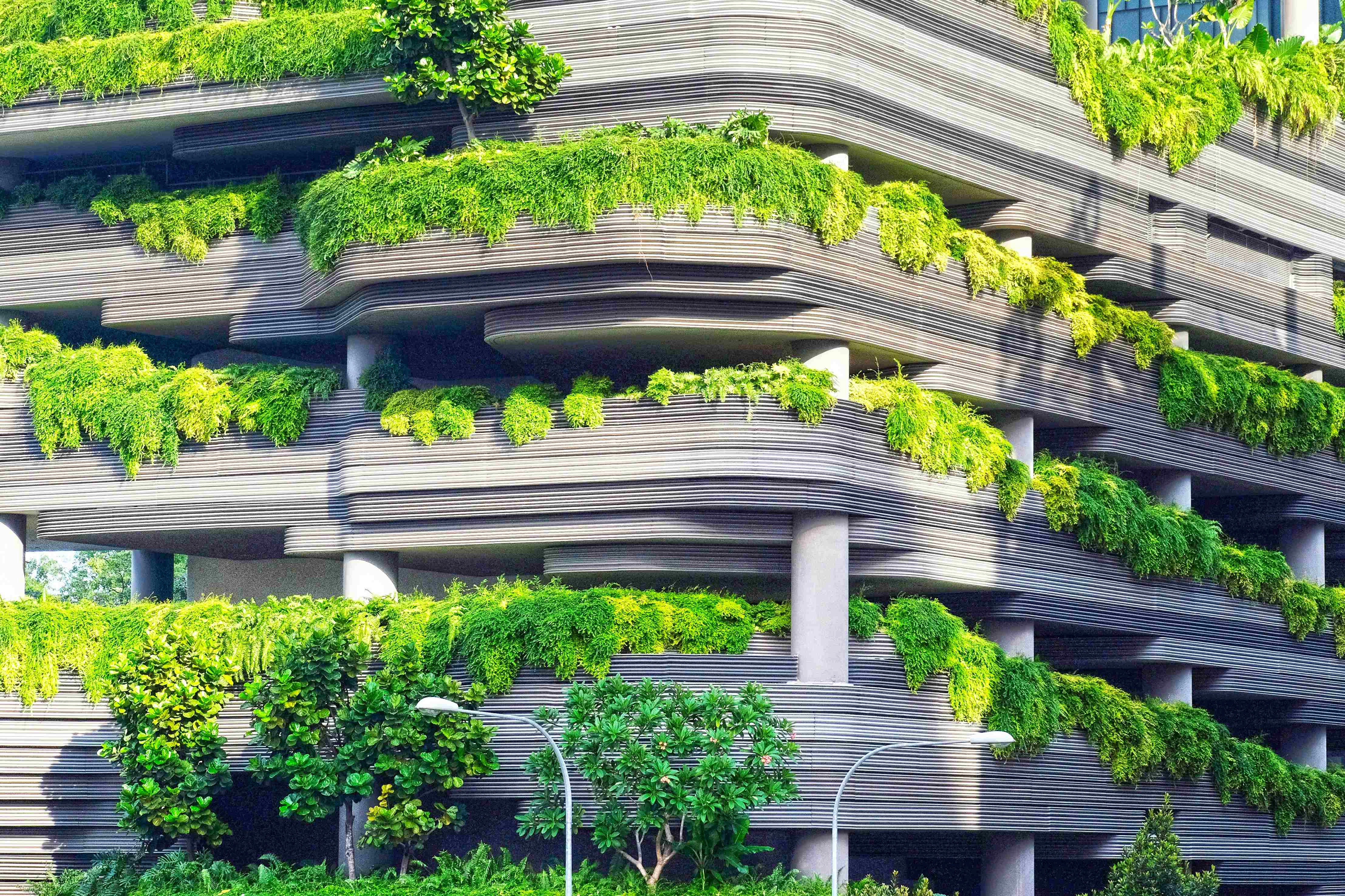 Lush Green Architectural Marvel