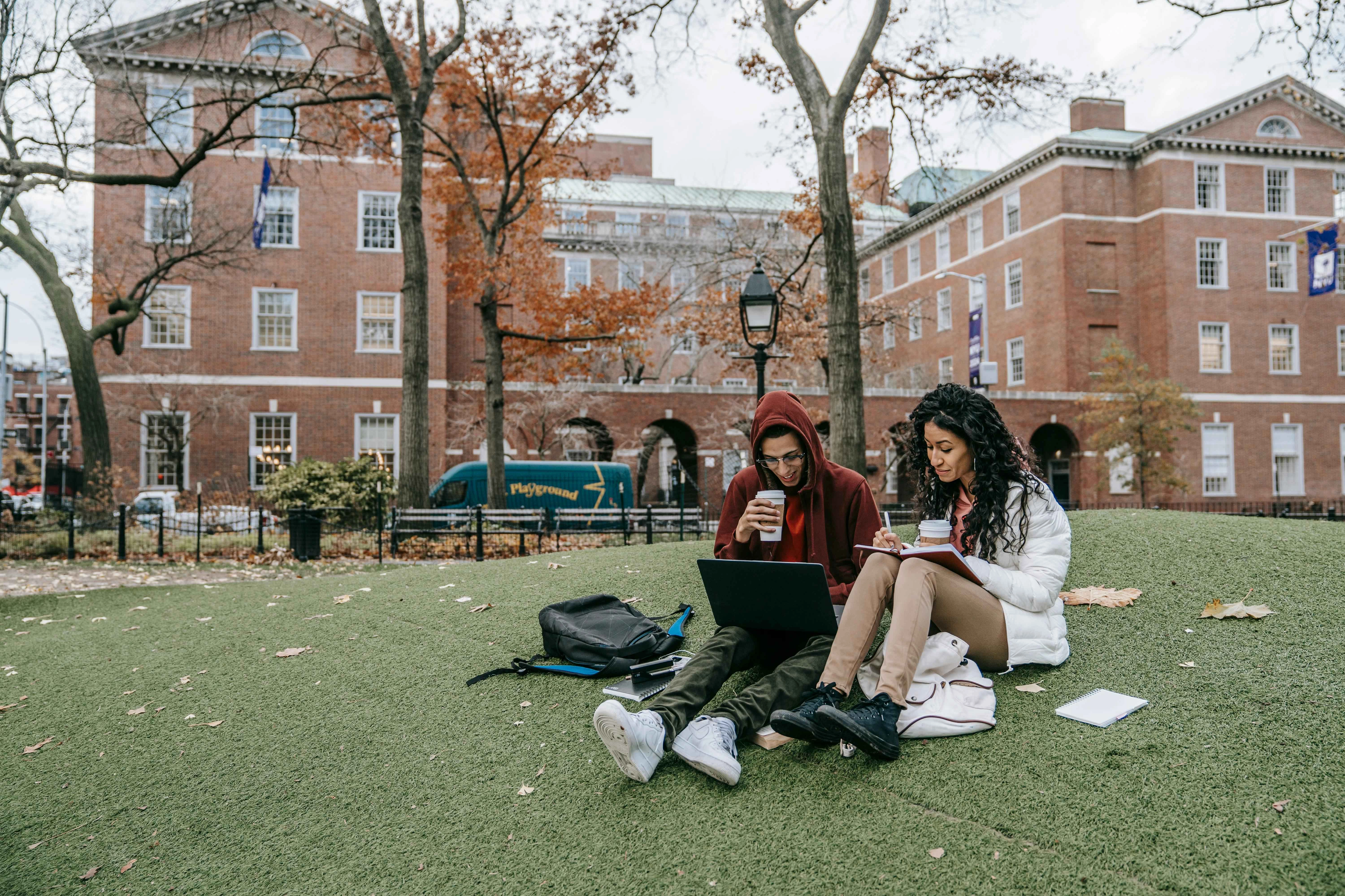 Students studying on campus