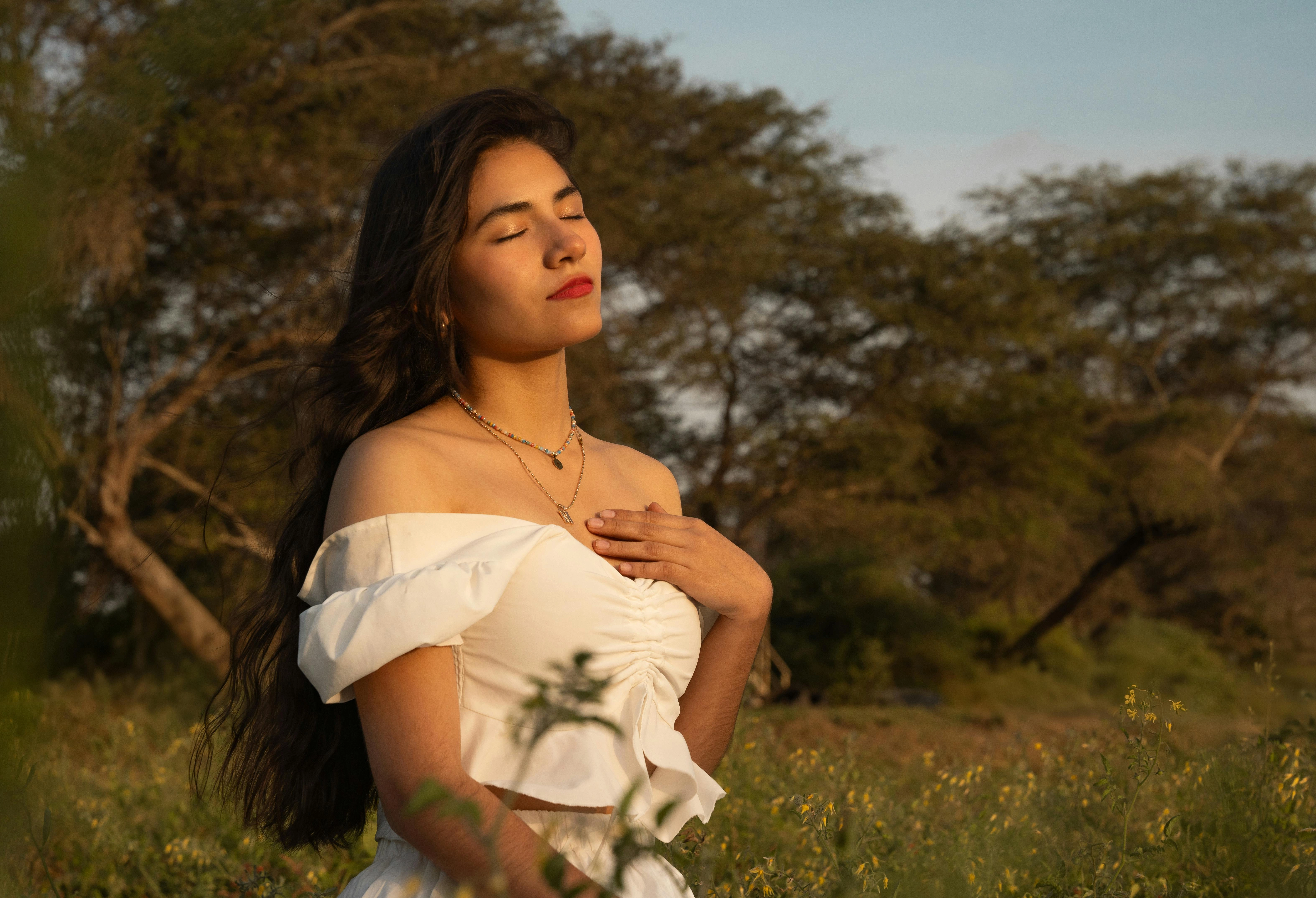 Sunlit Serenity in Nature Sunlit Serenity in Nature